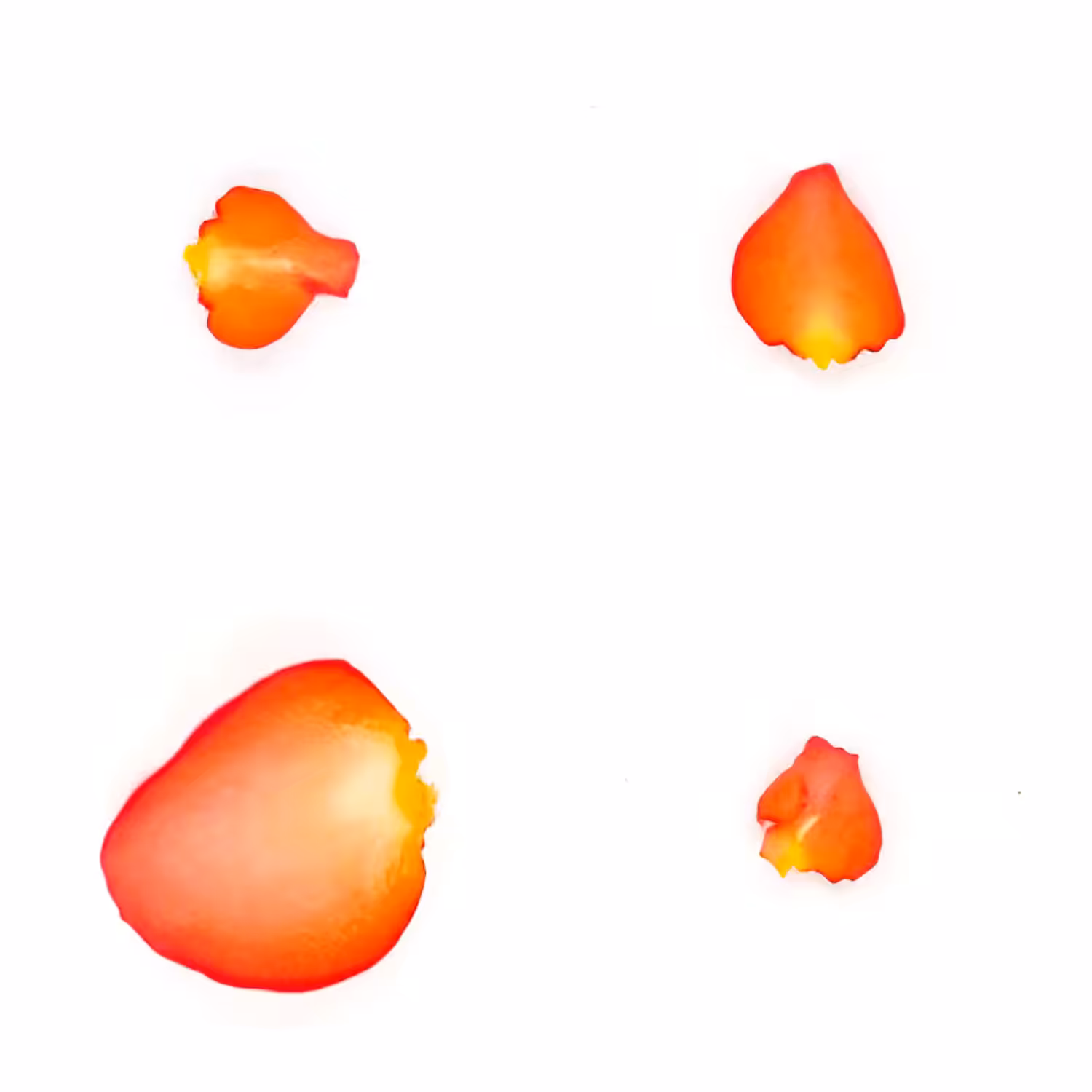 Infinite Petals 2x2#4153