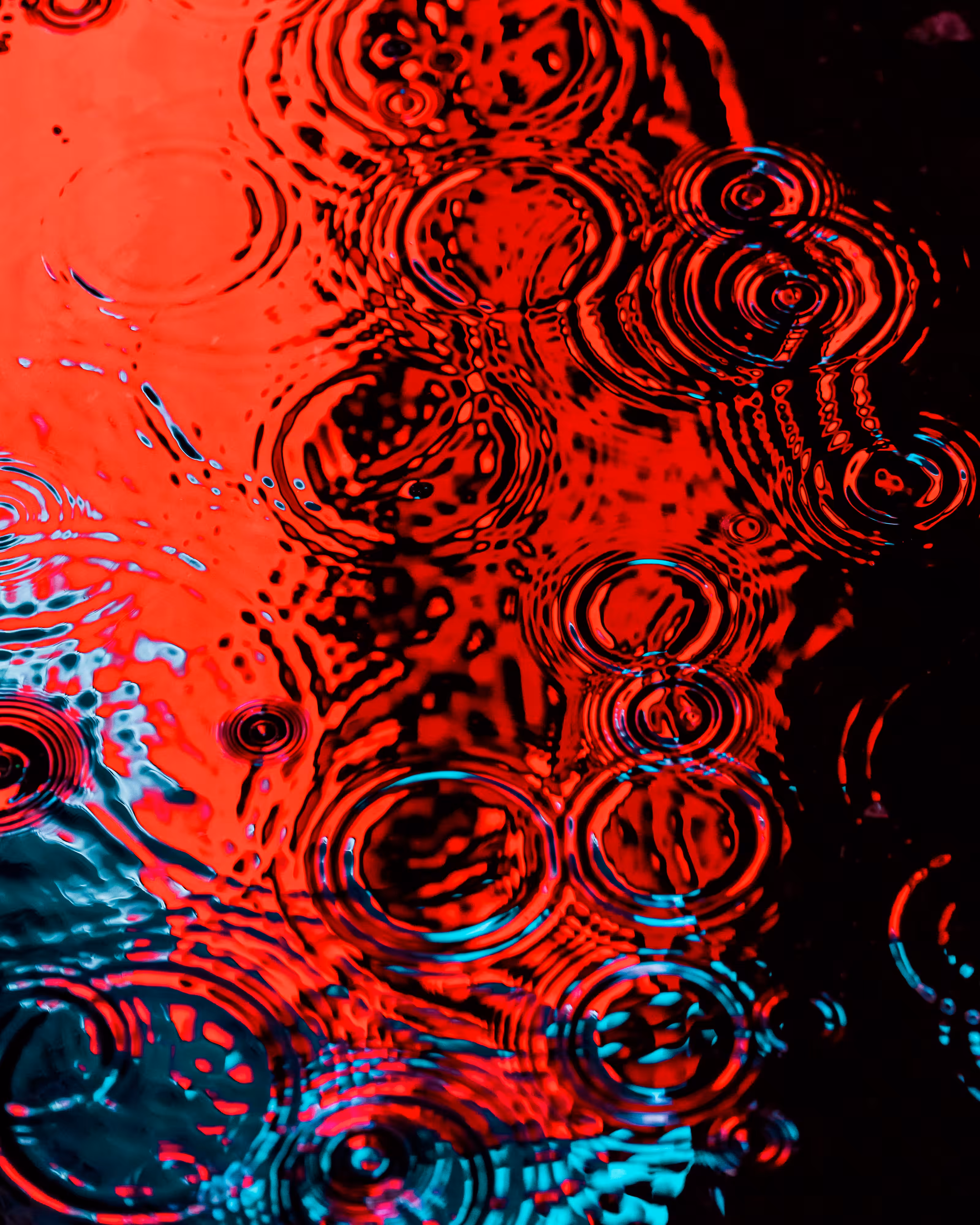 DRIP #539
