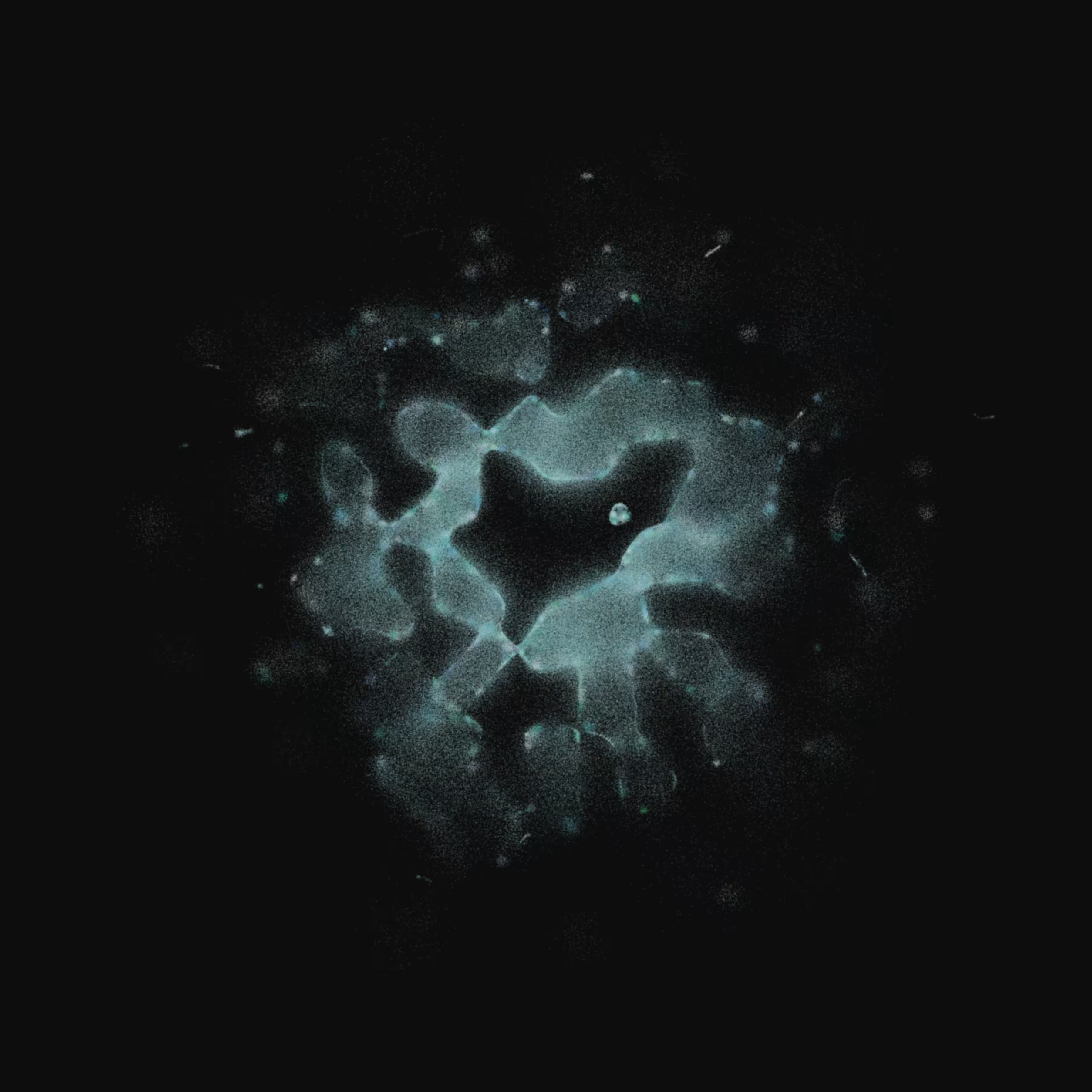 Membrane #10