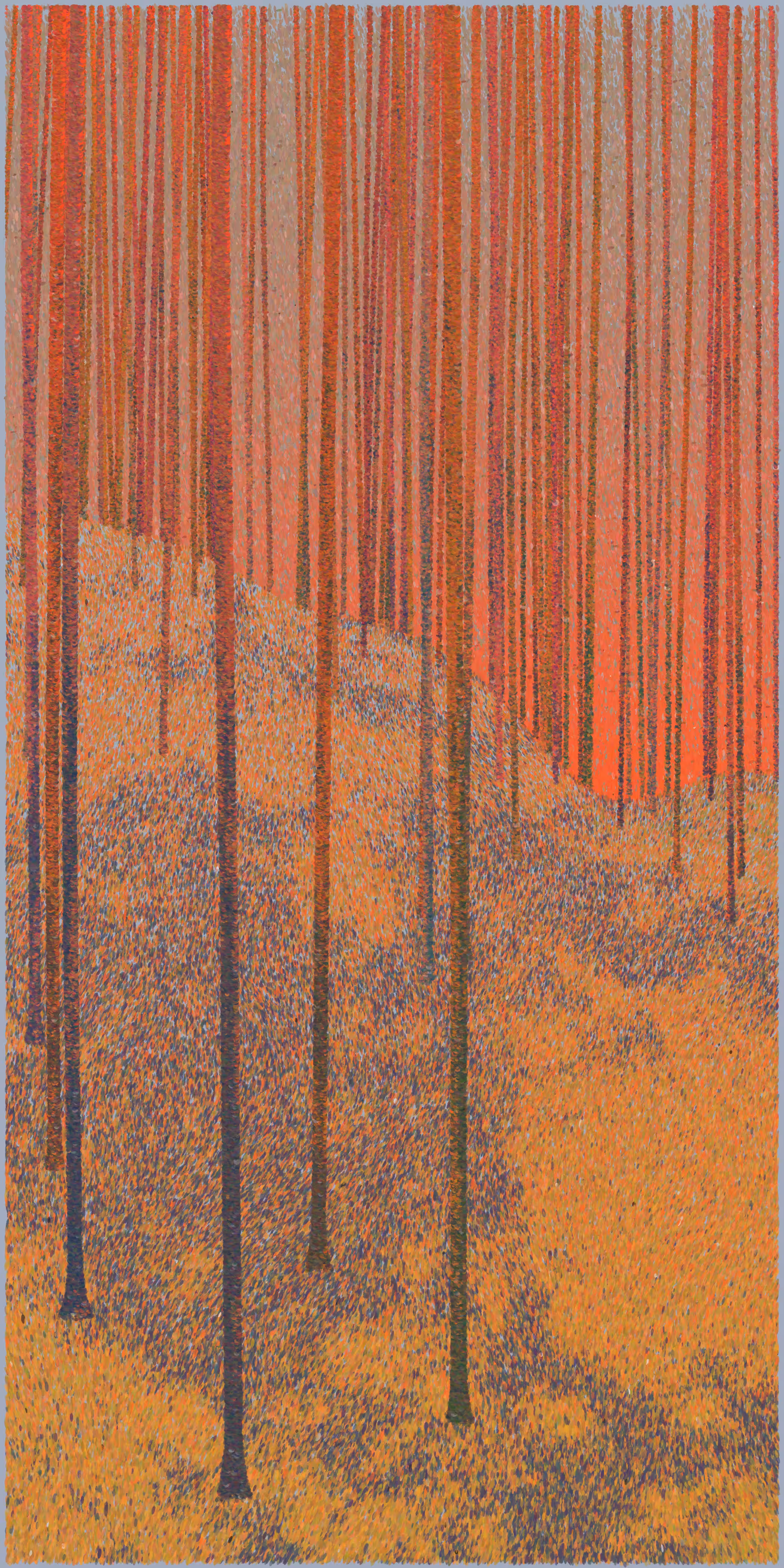 forest 257