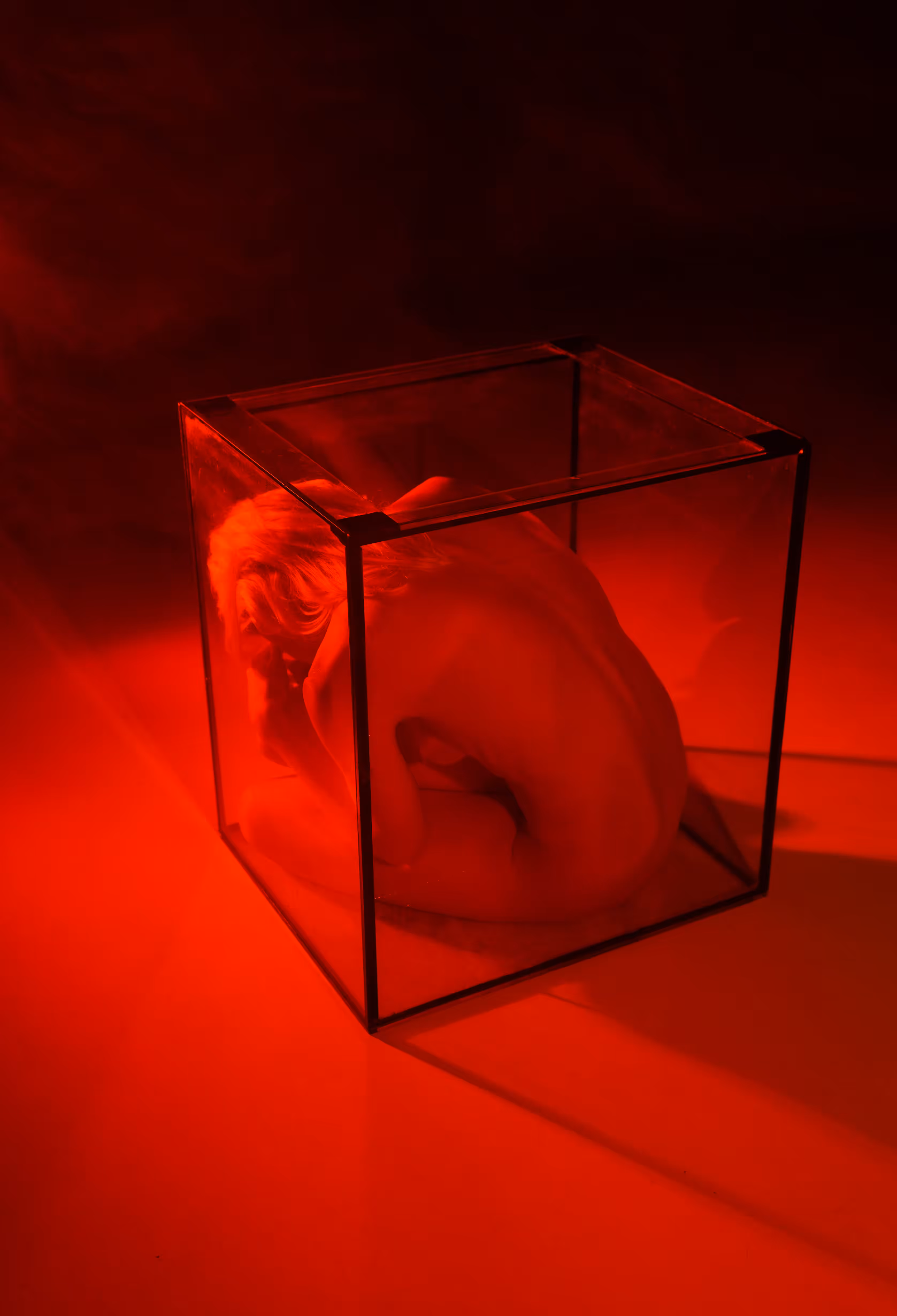 The cage #2