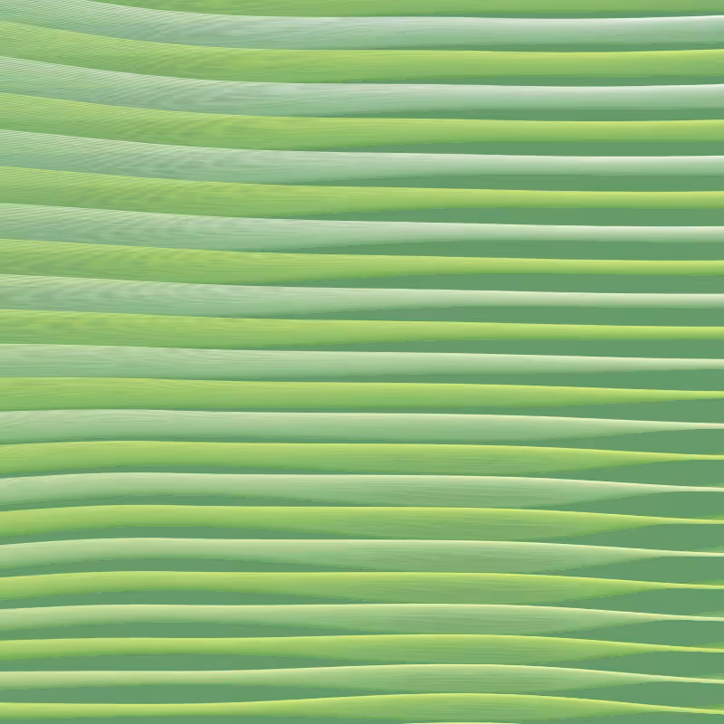 Perlin Ribbons #4