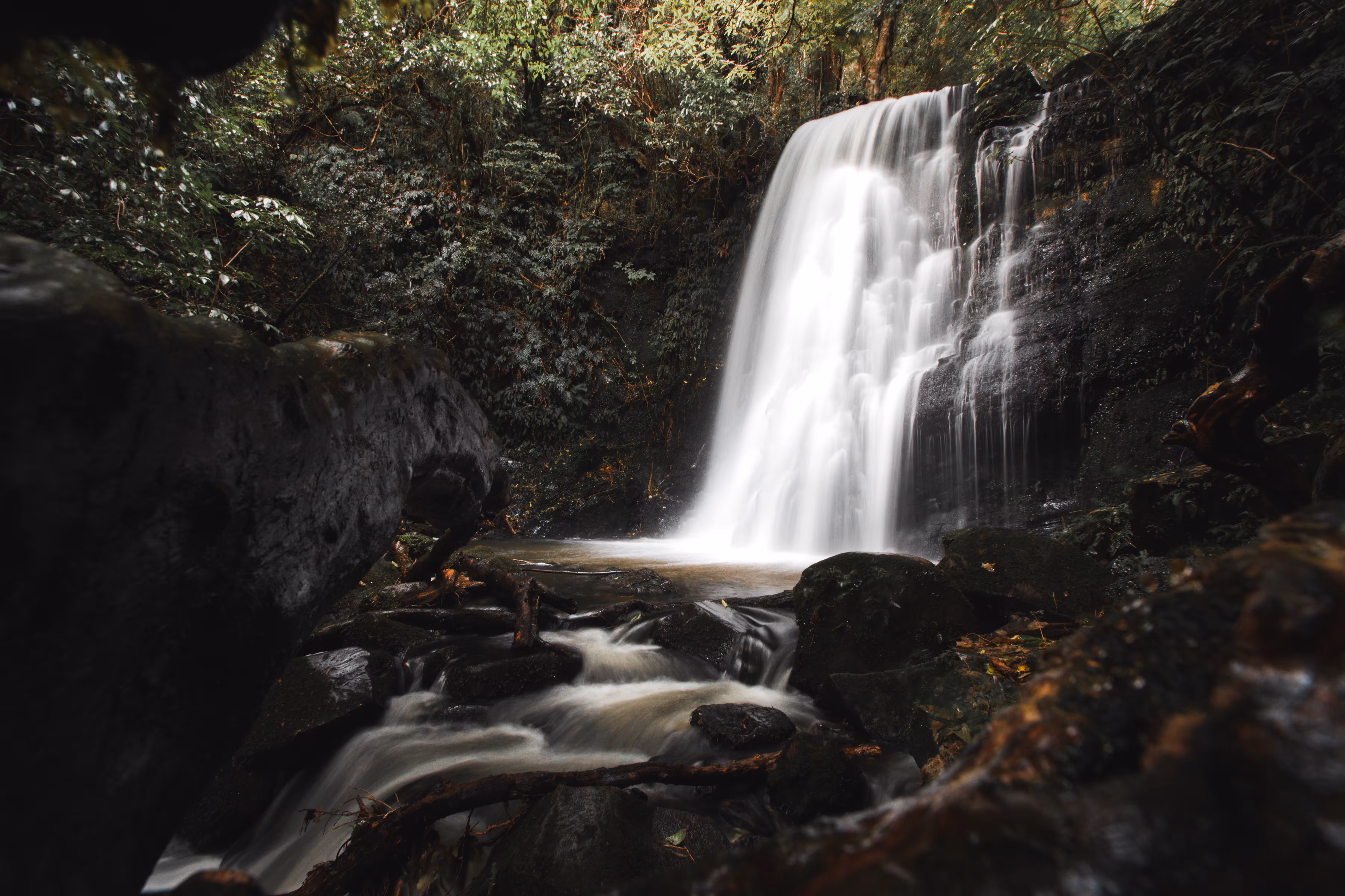 Off to Rivendell