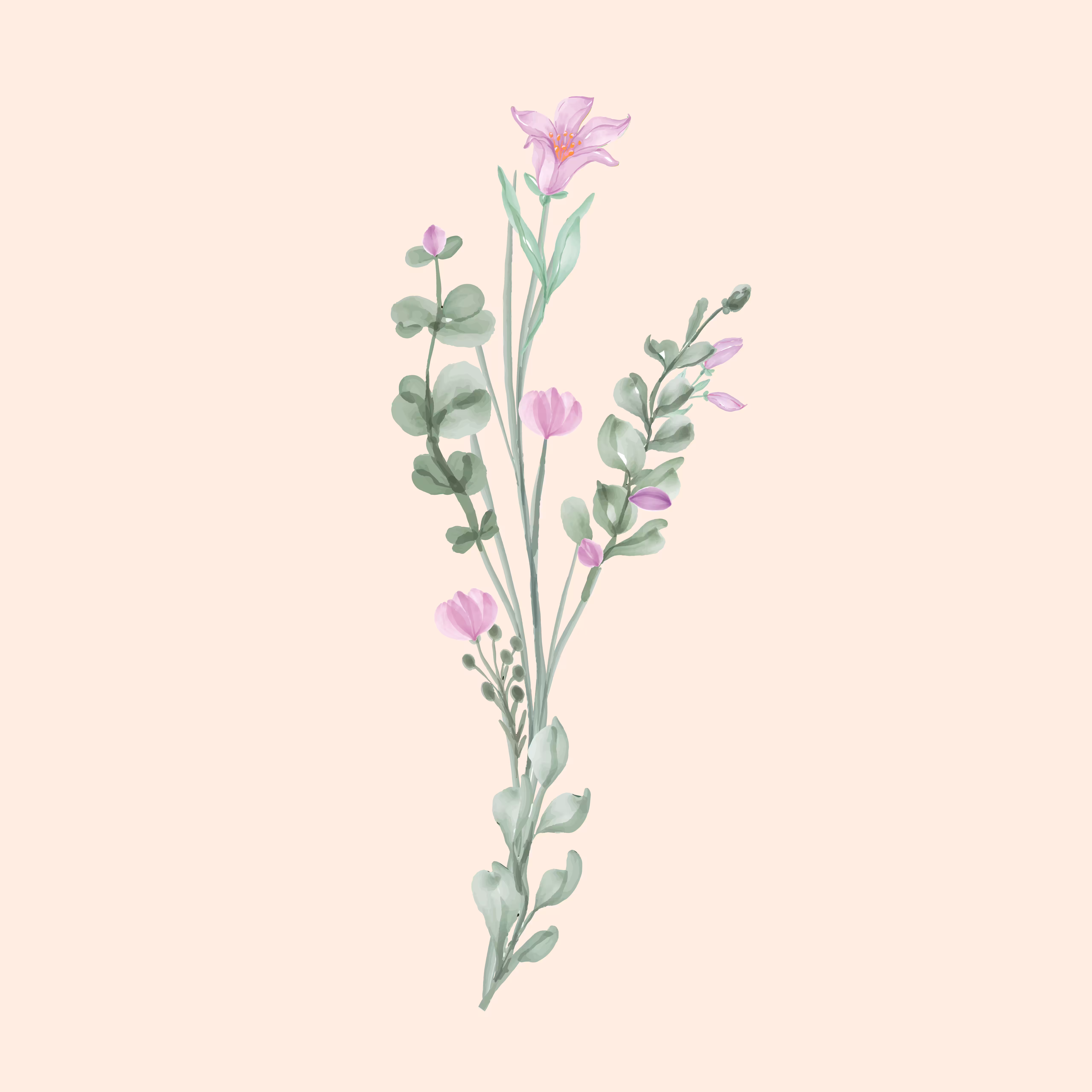 purpura lirium