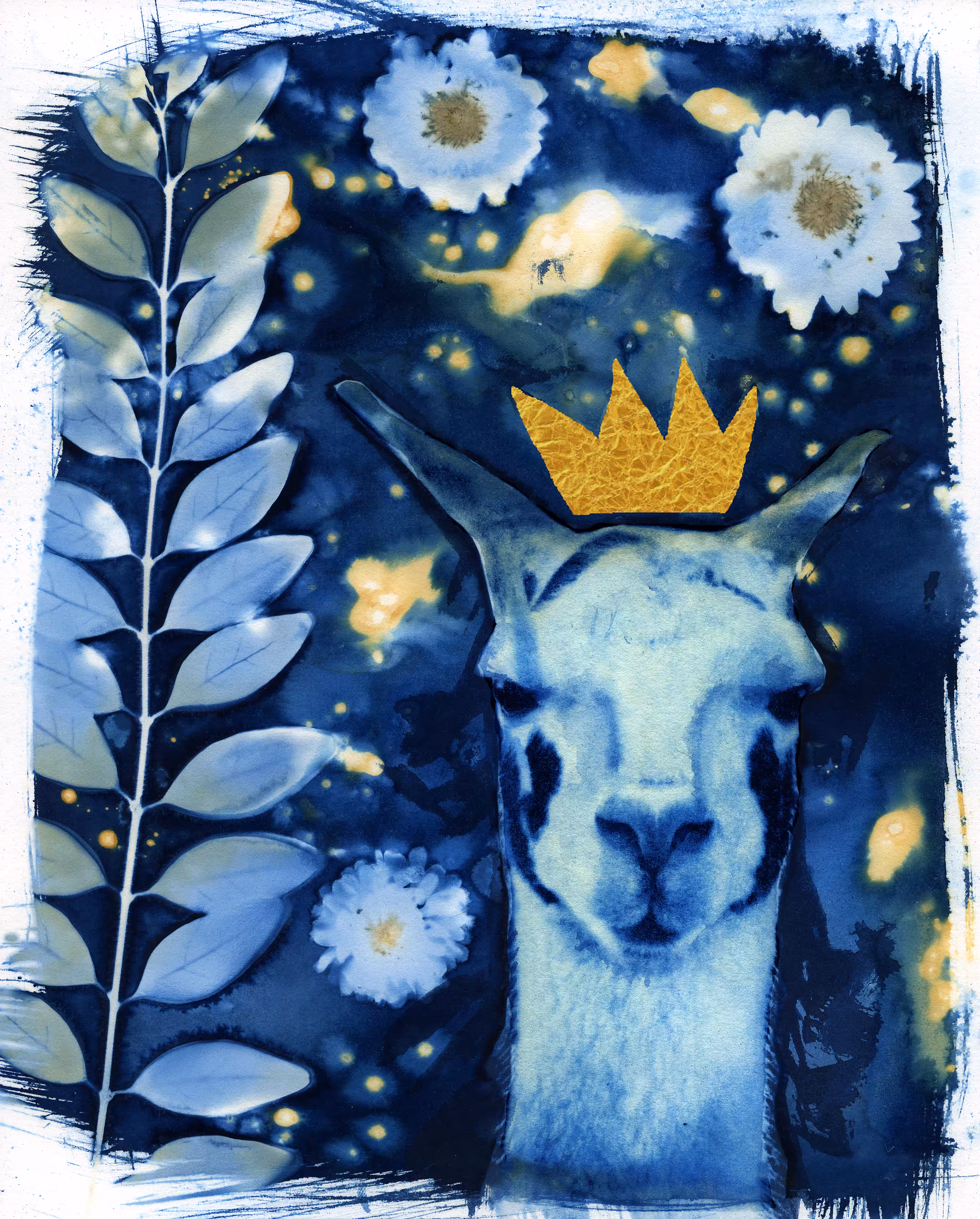 King Llama