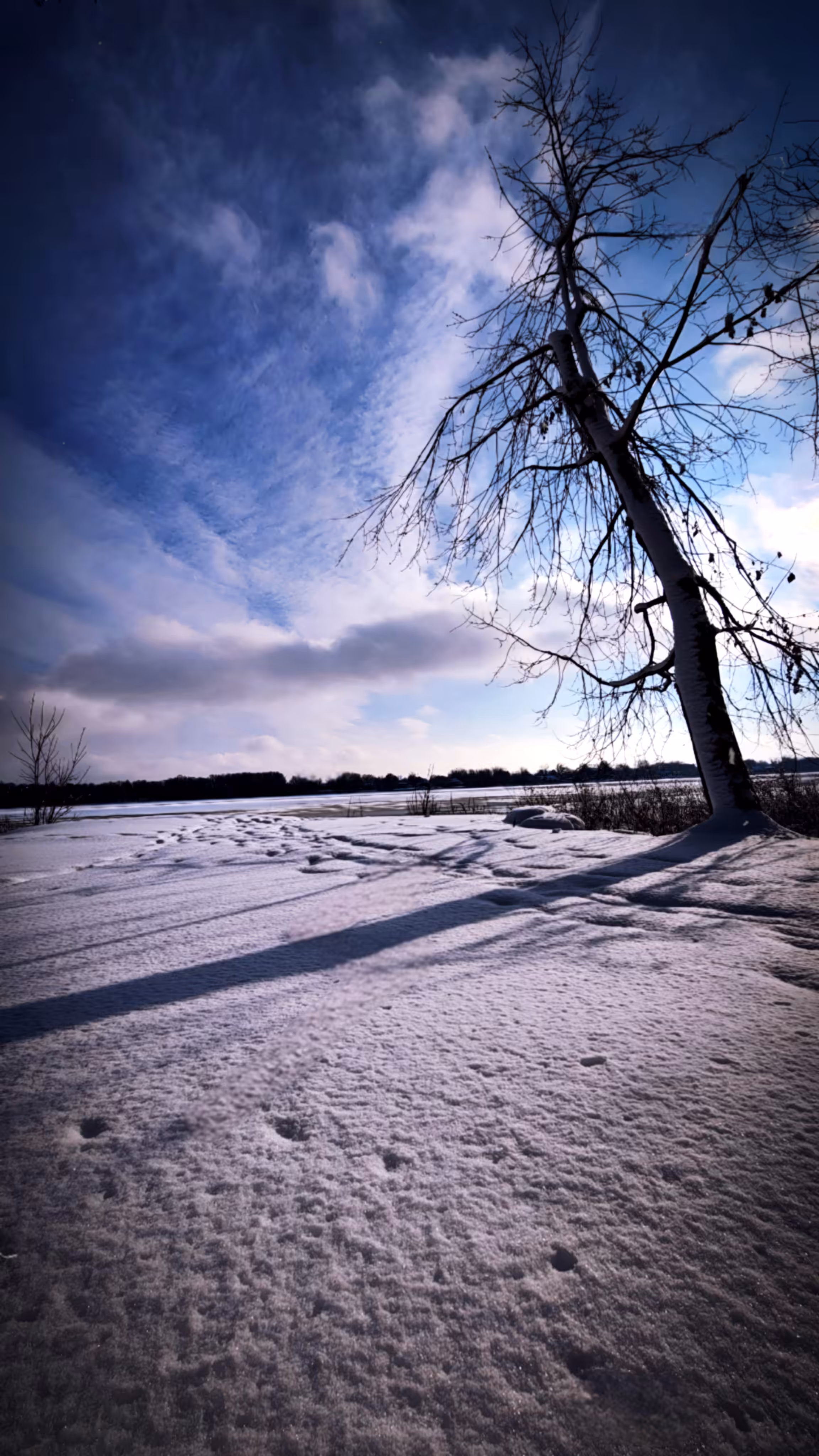 Everyday Pictures: Day #04