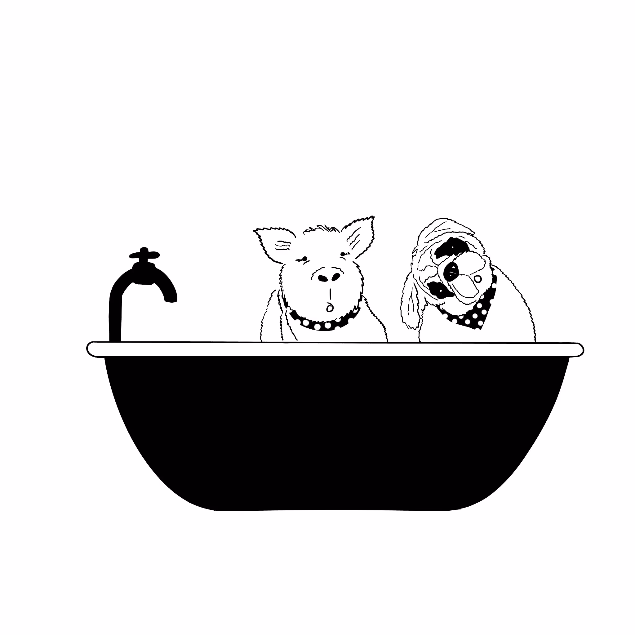 Pig and the Pug in a Tub