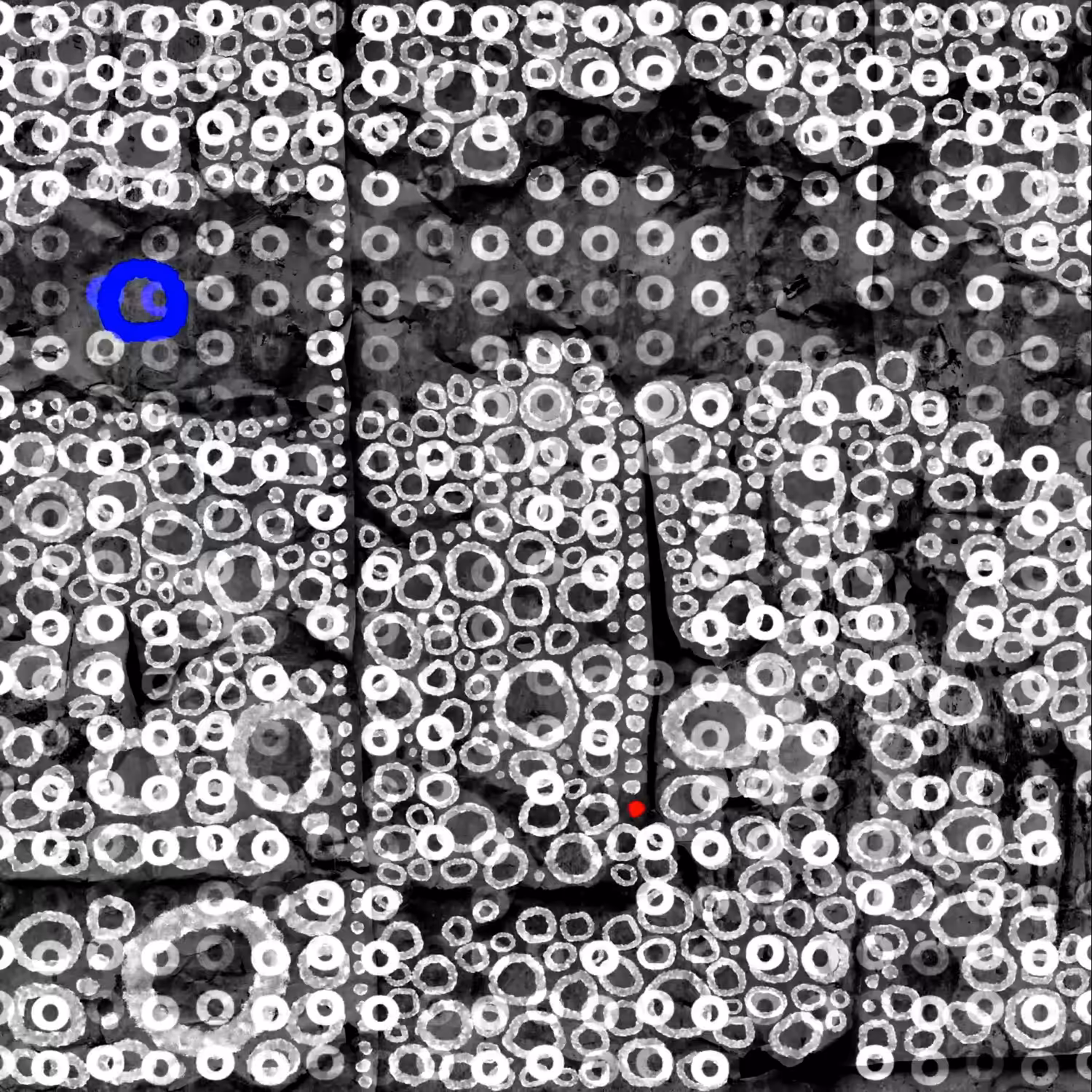 Kinetic Vibration: “Kinetic Vibration.015” - Animation