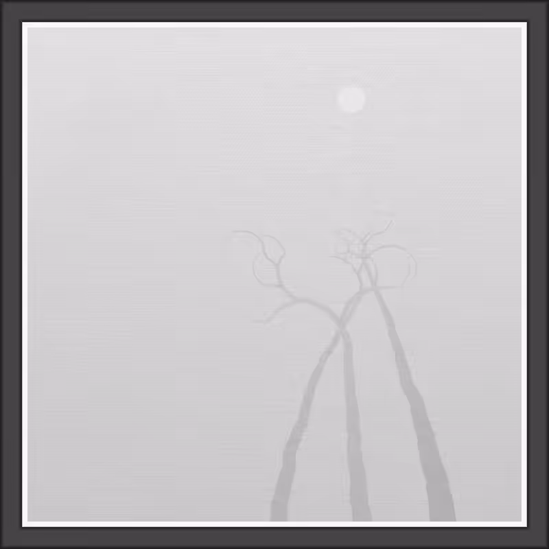 The Foggy Trees #102