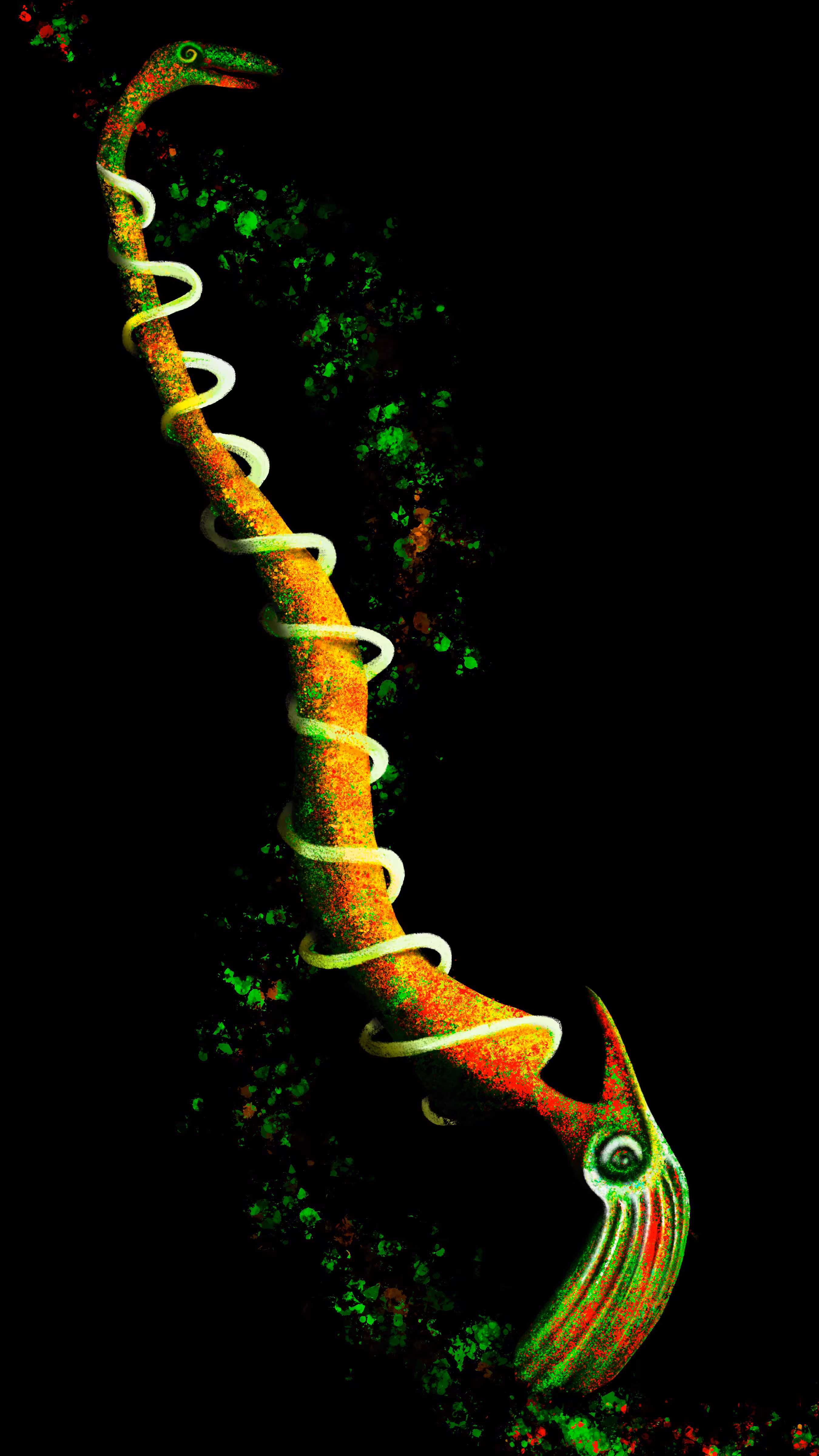 Bicephaly Living Fossil