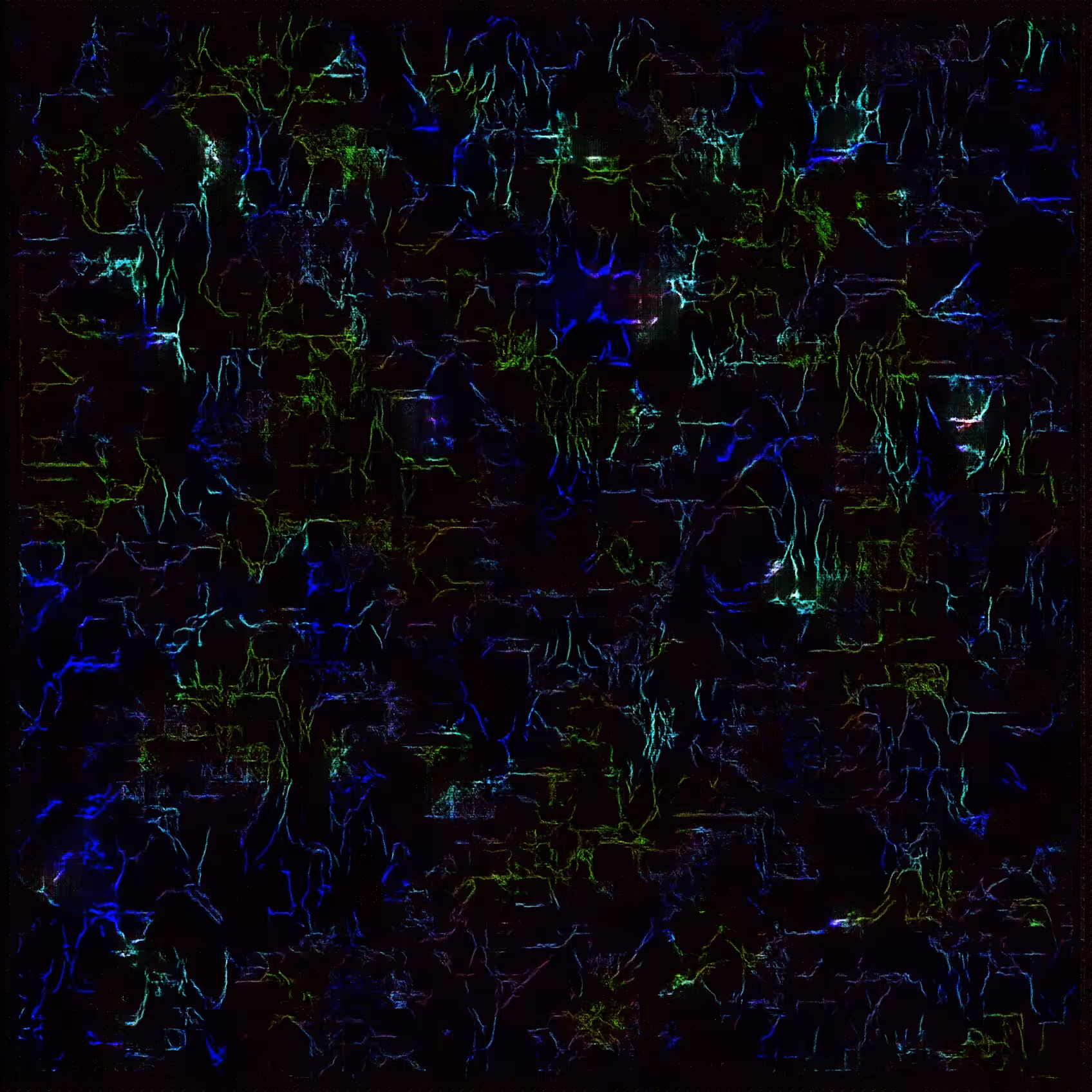 Artificial Net Of Color Dreams