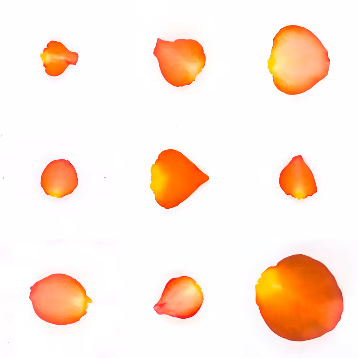 Infinite Petals 3x3#3121