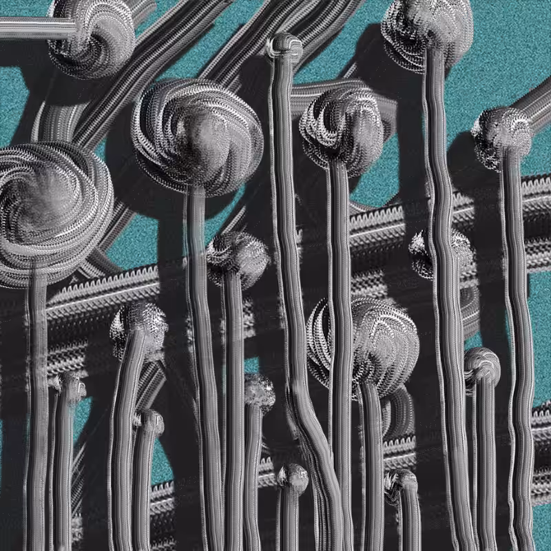 The non-linear connections  #5