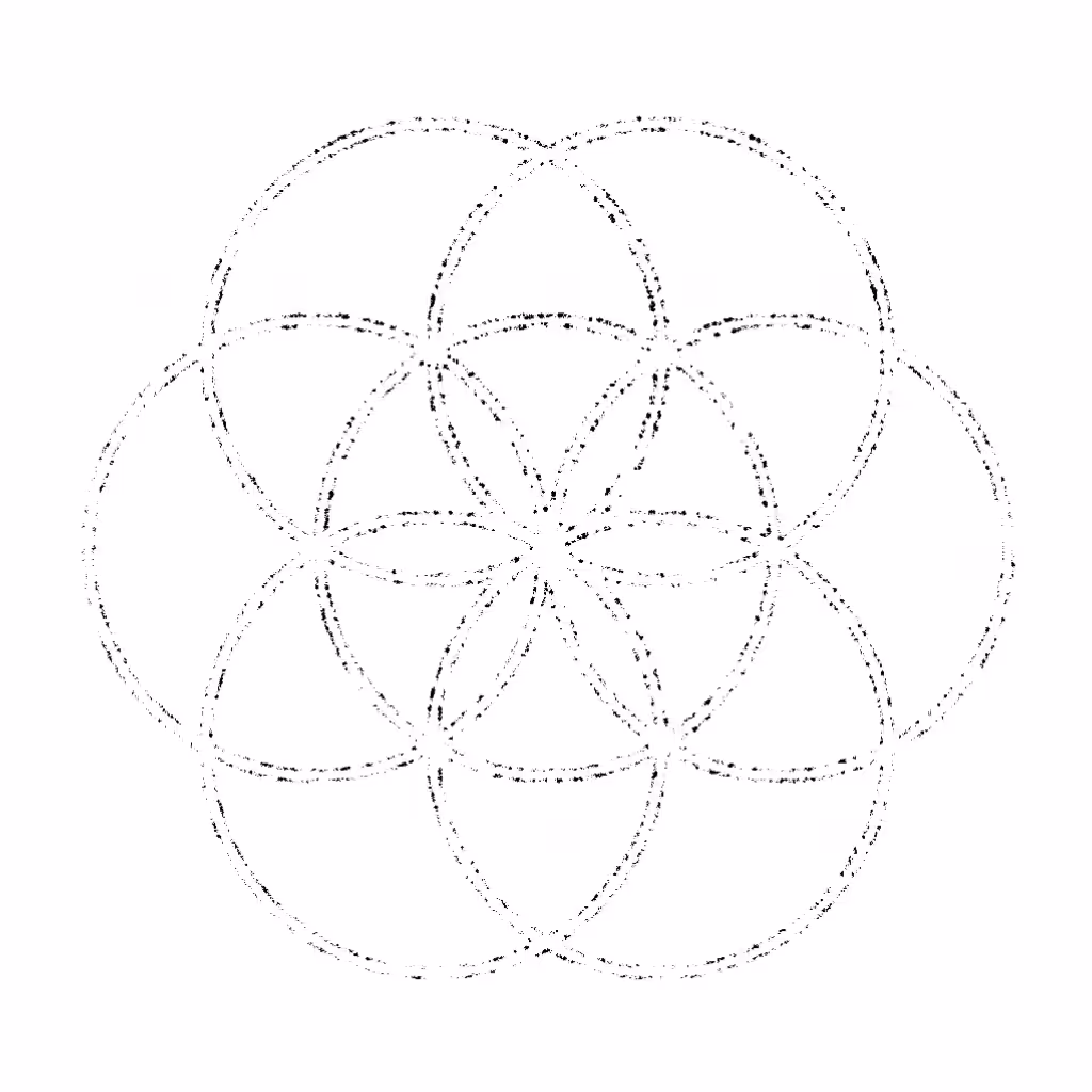 mycelium harmony