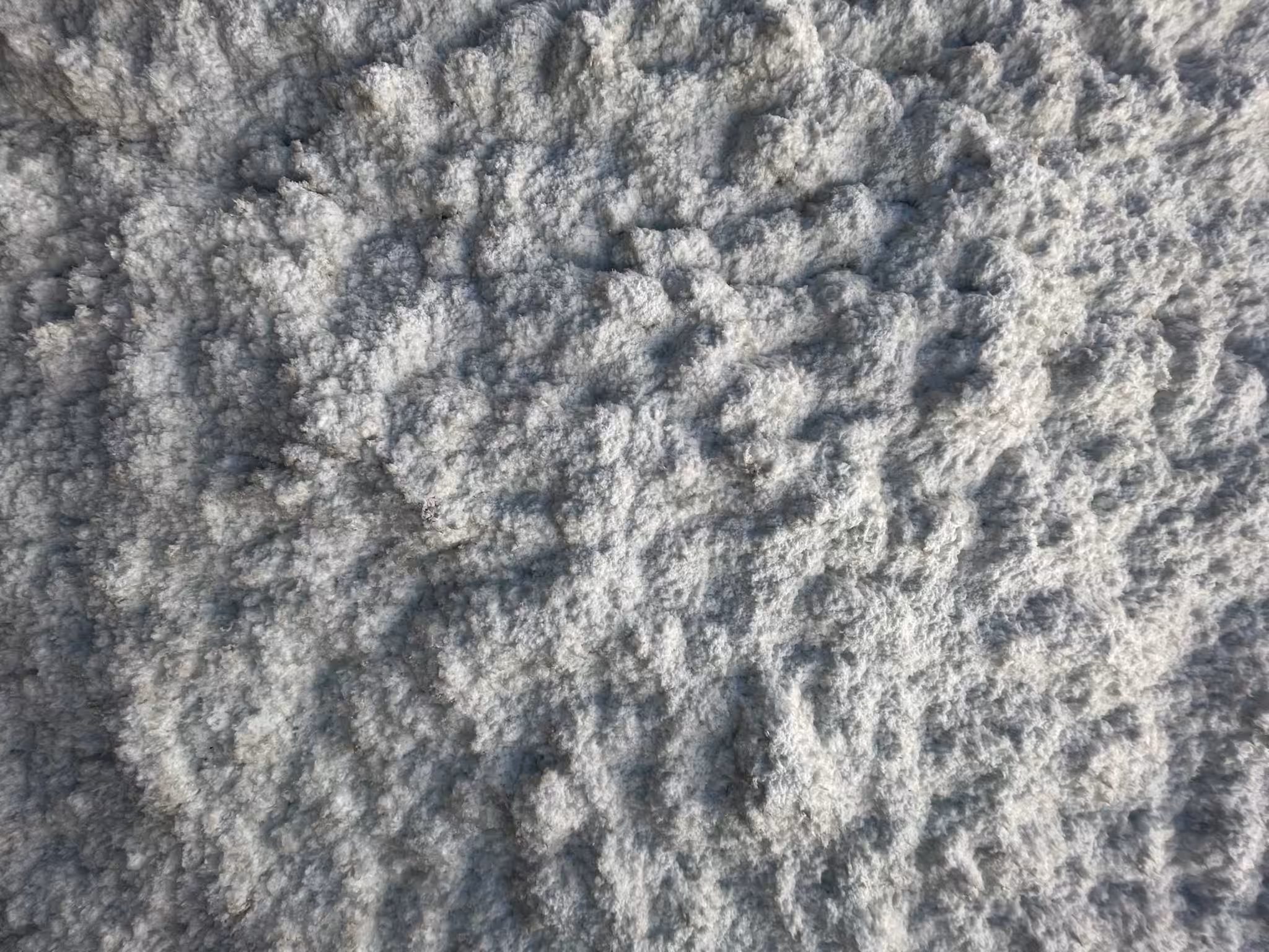 INSULATION, 2022