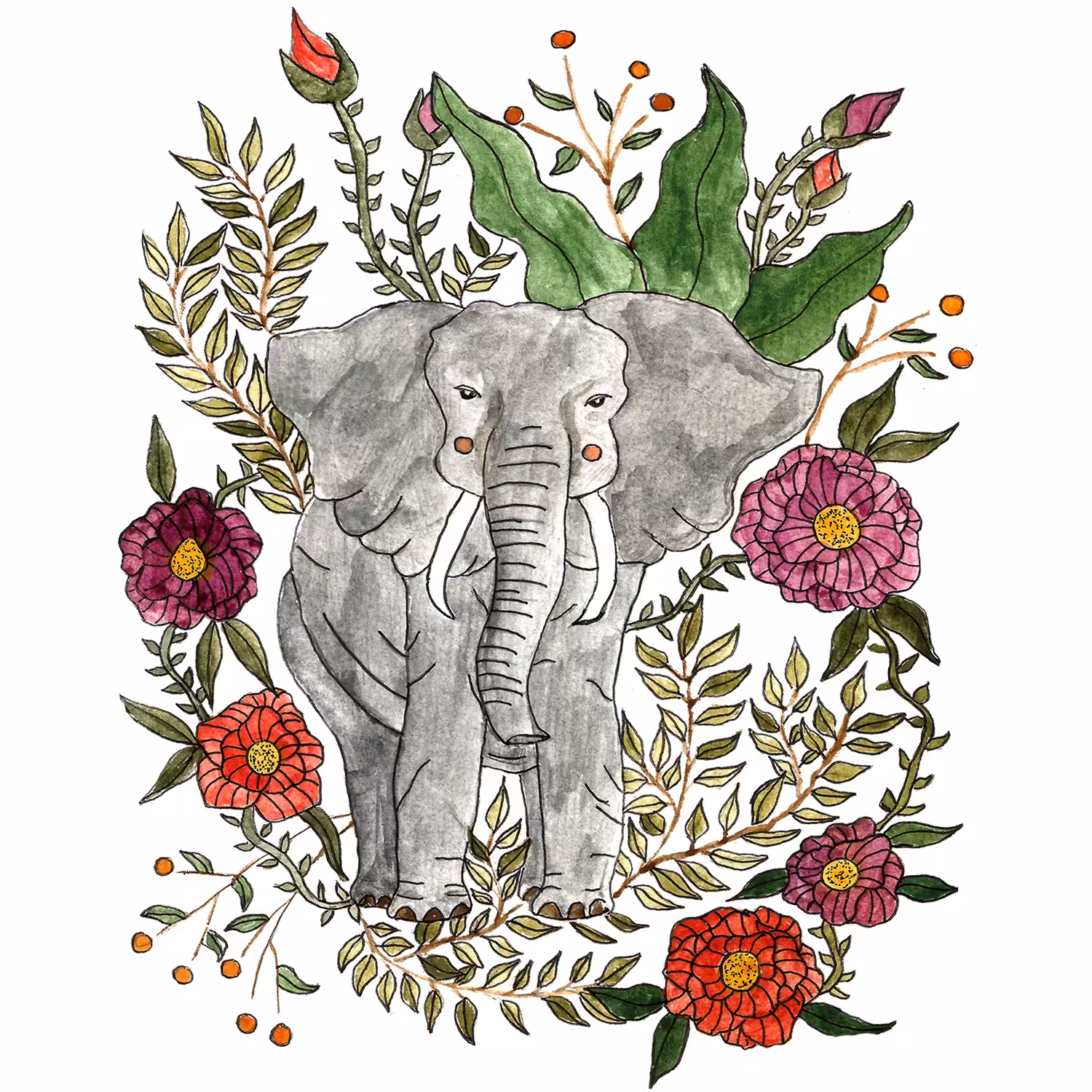 Elephant In Between Bloom