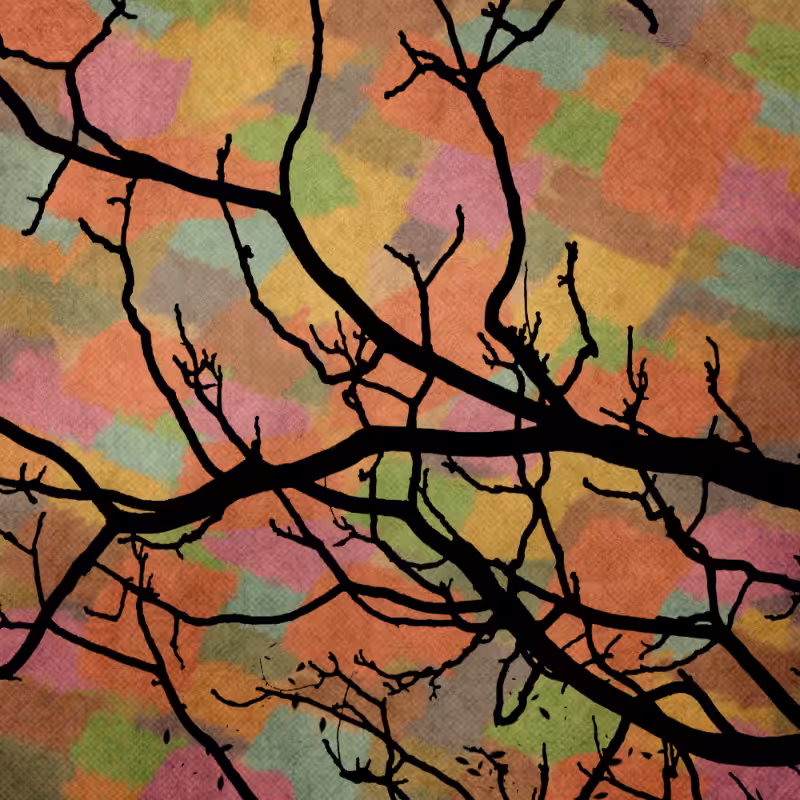 Autumn #3