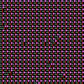 CGA Safari #16