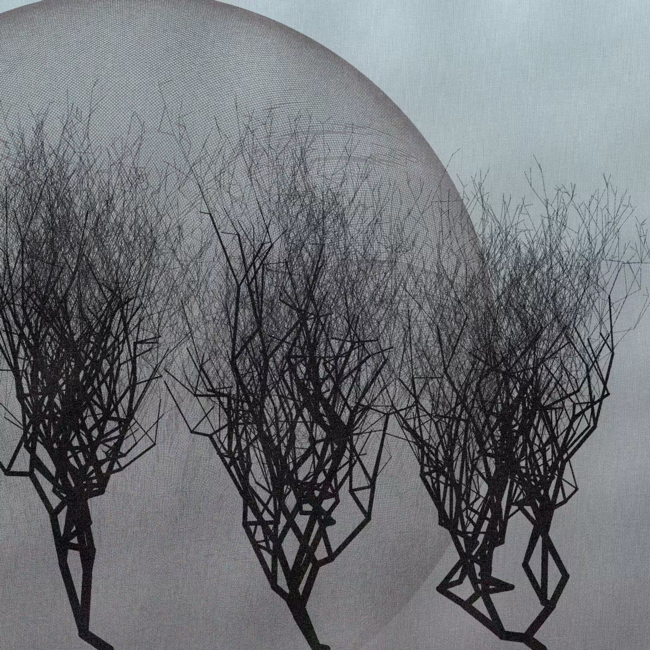 Three dead trees on earth #140