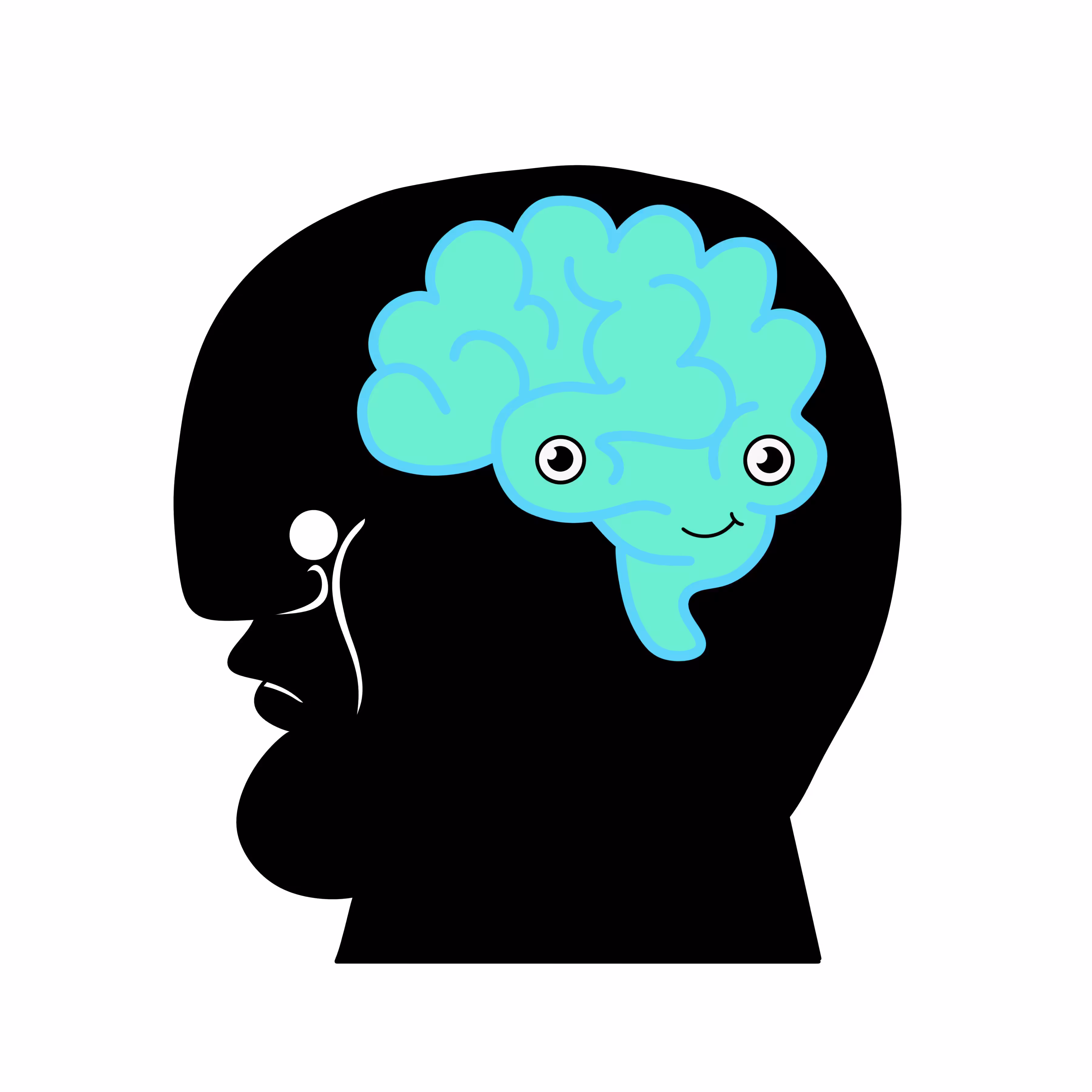 cortex