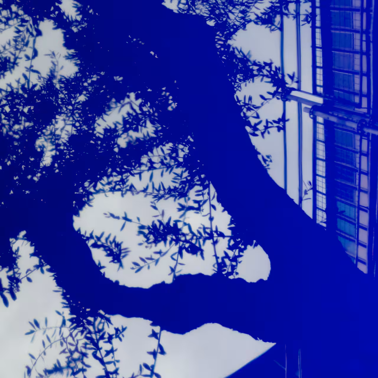 Blue direction