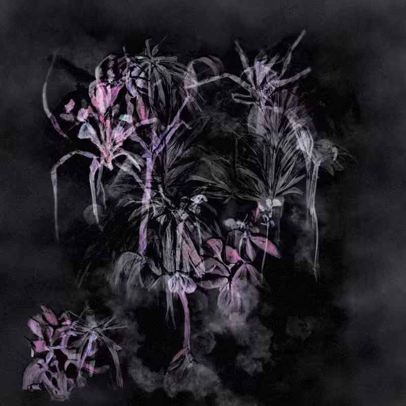 Hauntological Herbarium #51