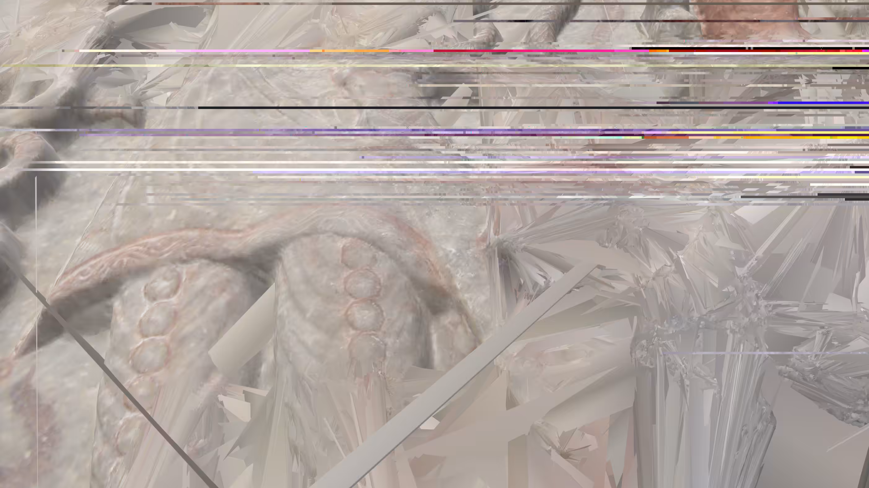 AE2
