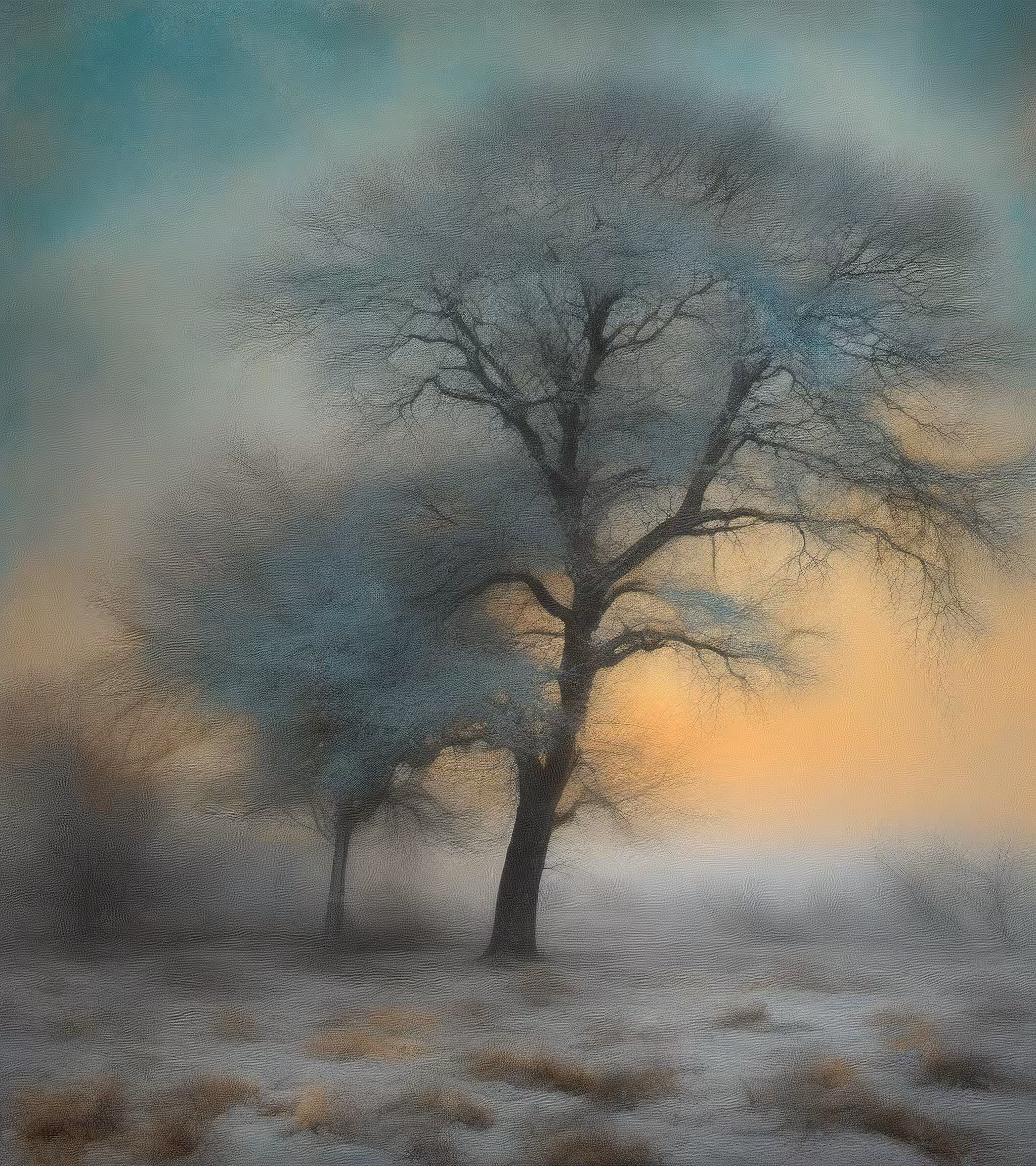 Tree Studies #26