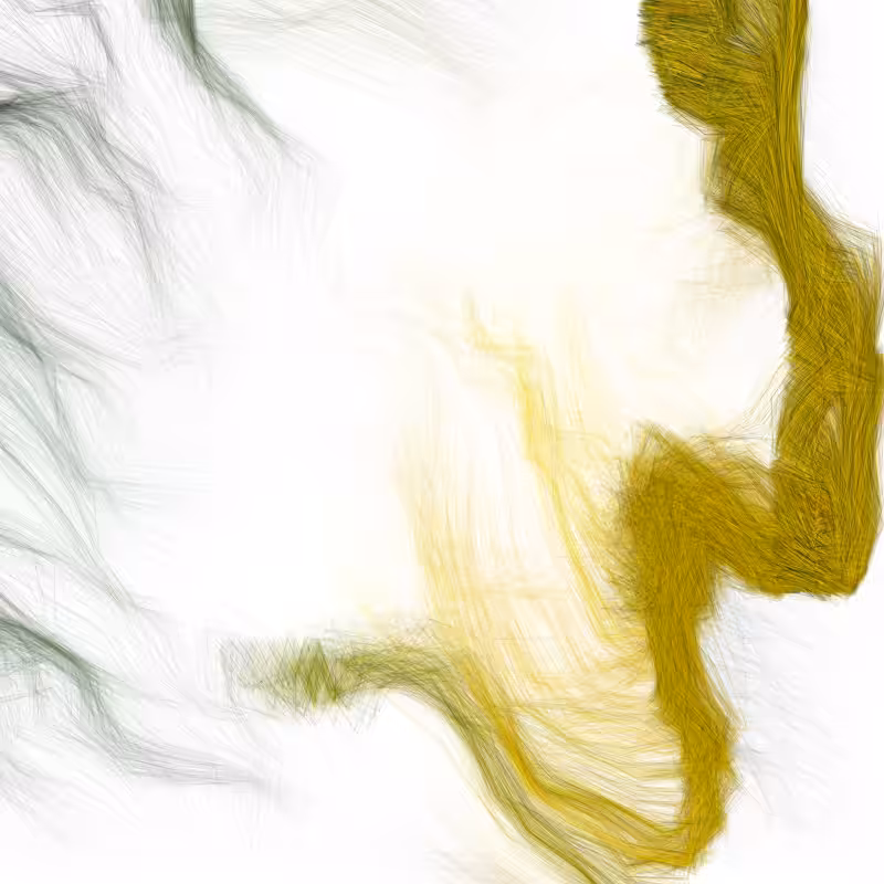 Hypericum #27