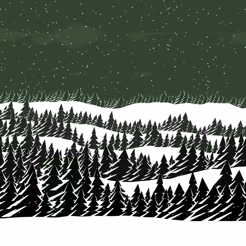 Winterland #238