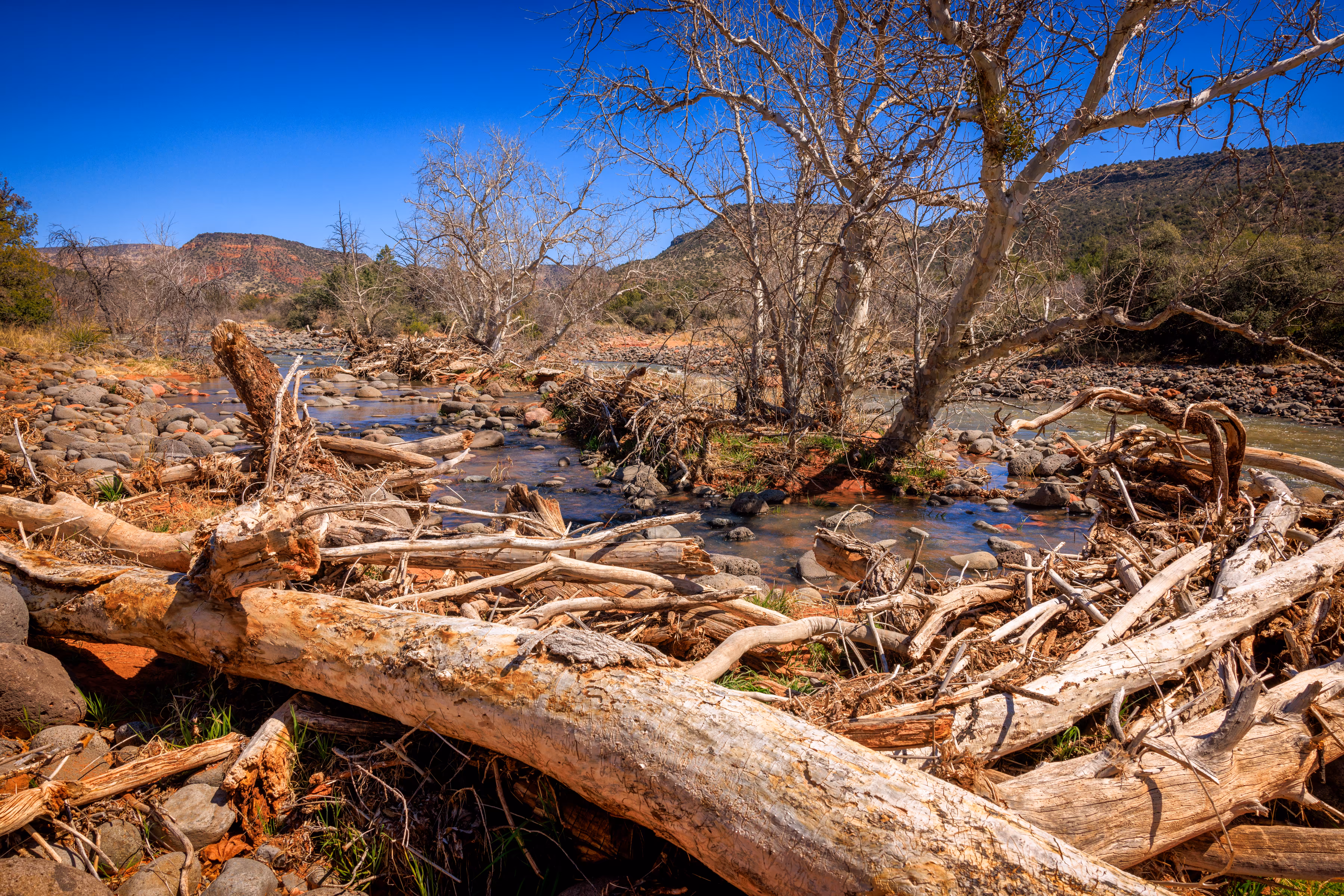 Logjam