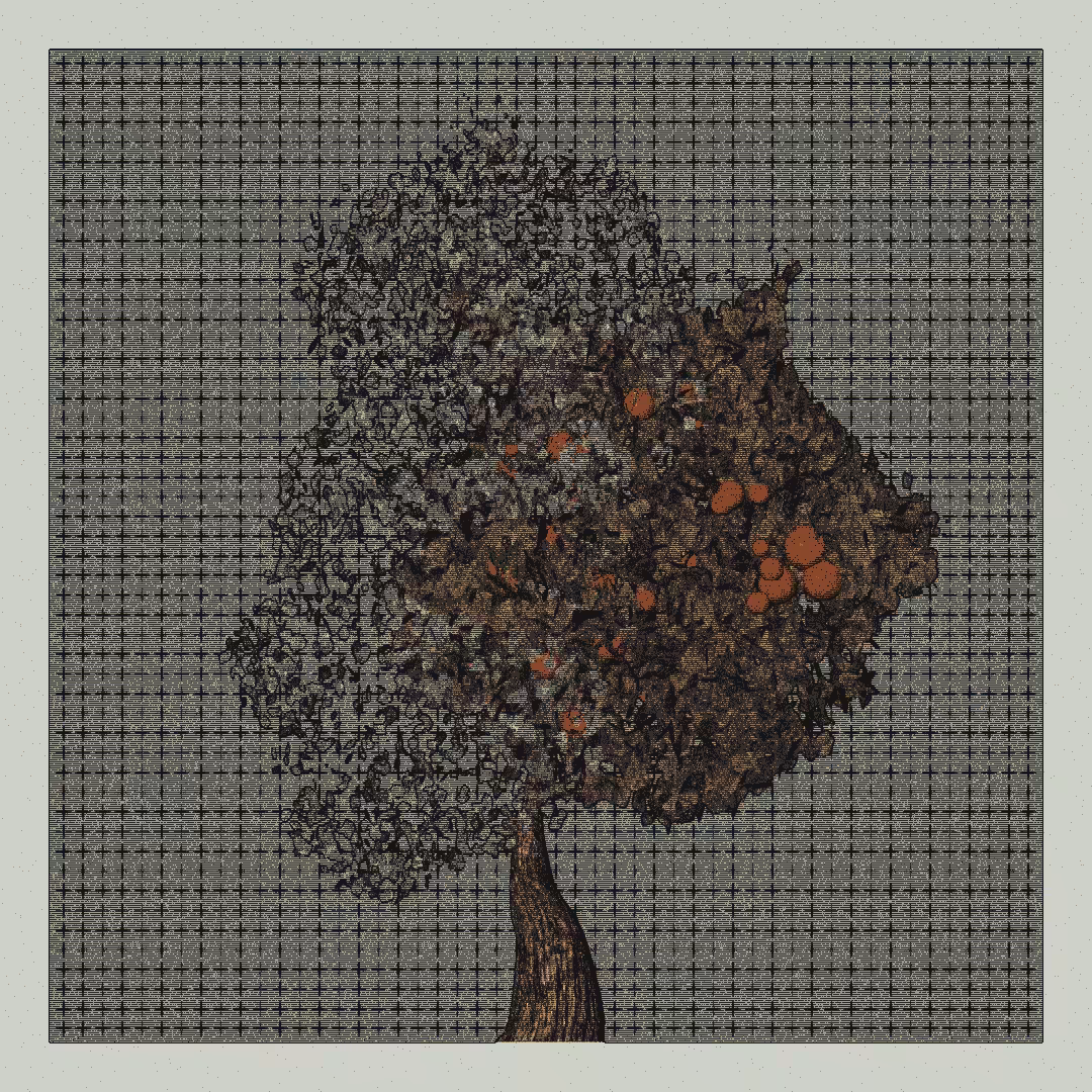 _argania[primaria] #142