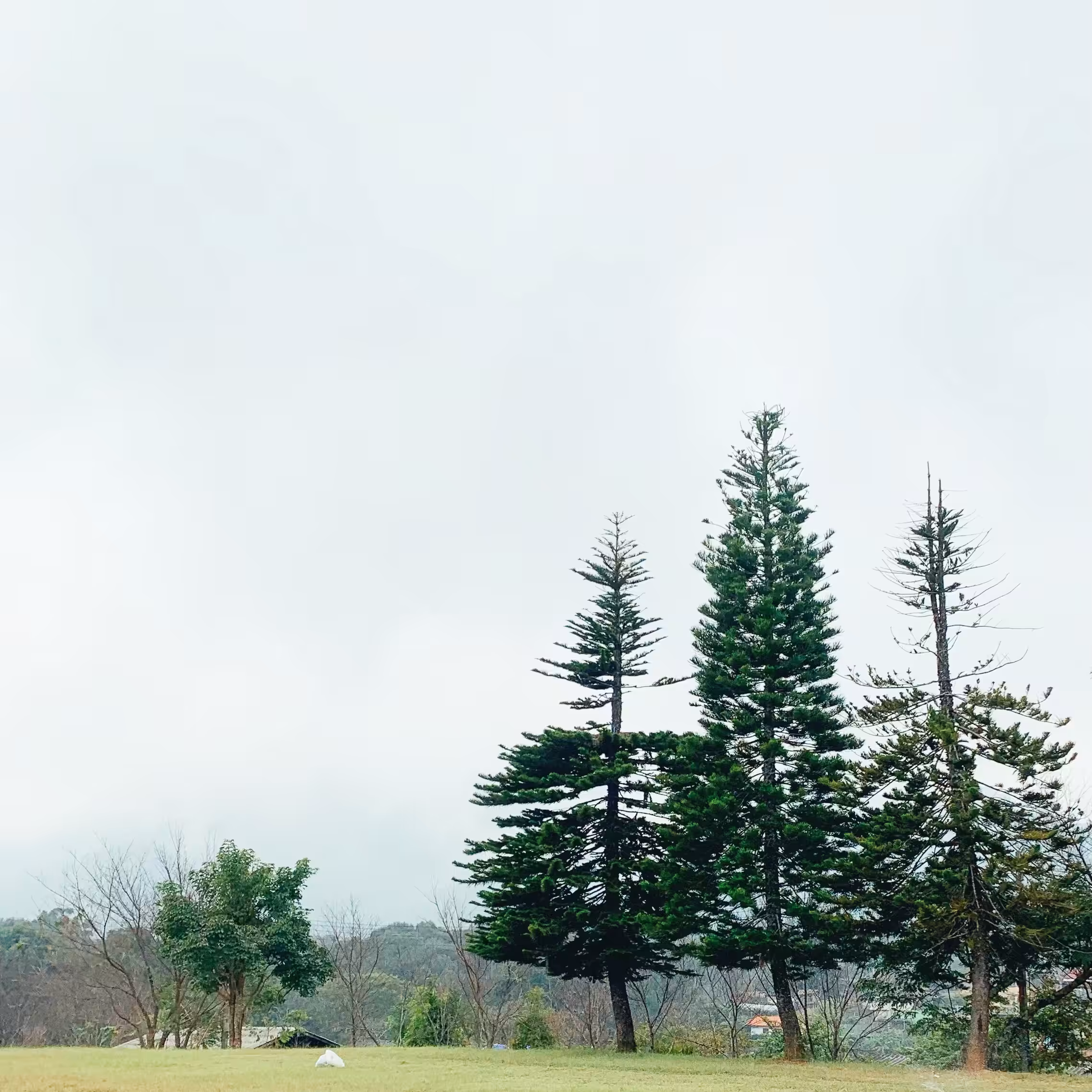 Scenery 01