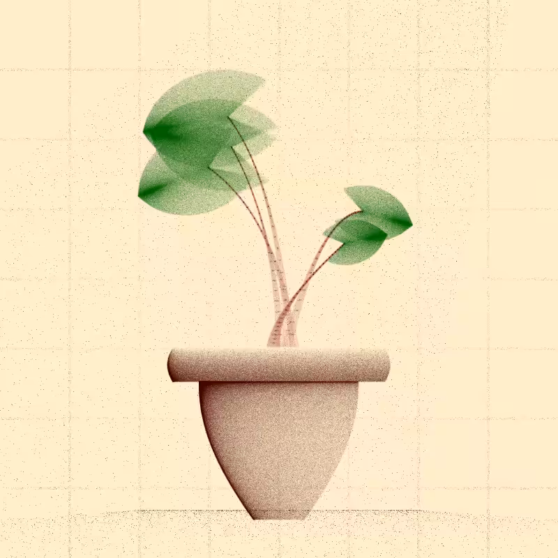 🌱 Potted & Printed #3