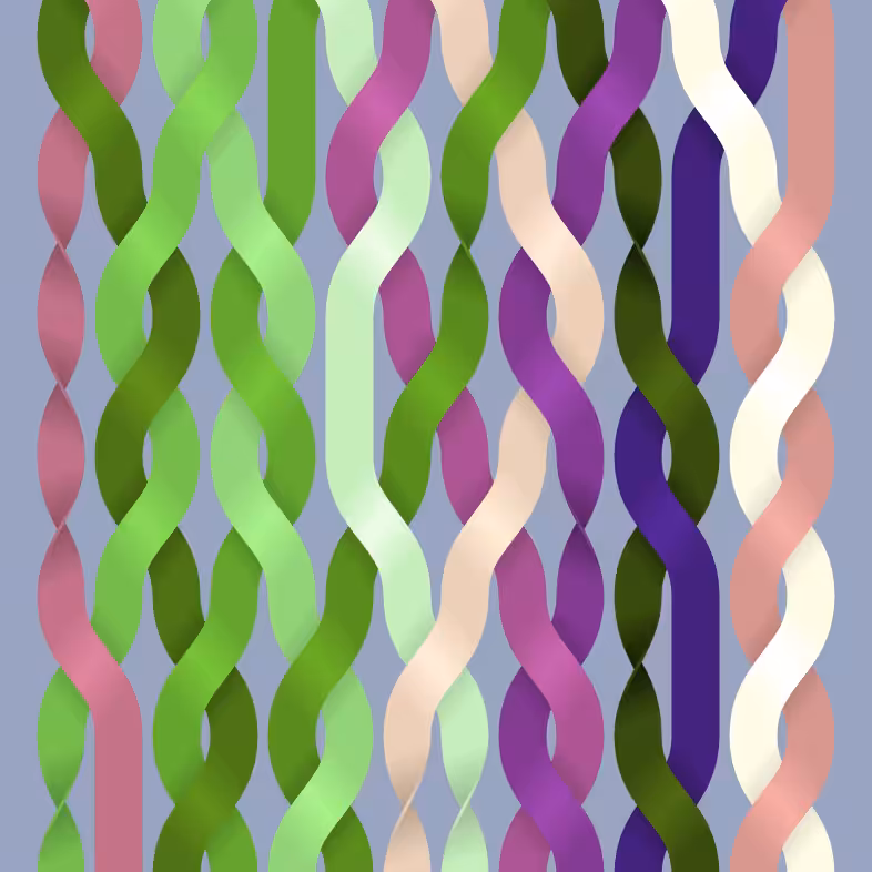 Endless Braids #103
