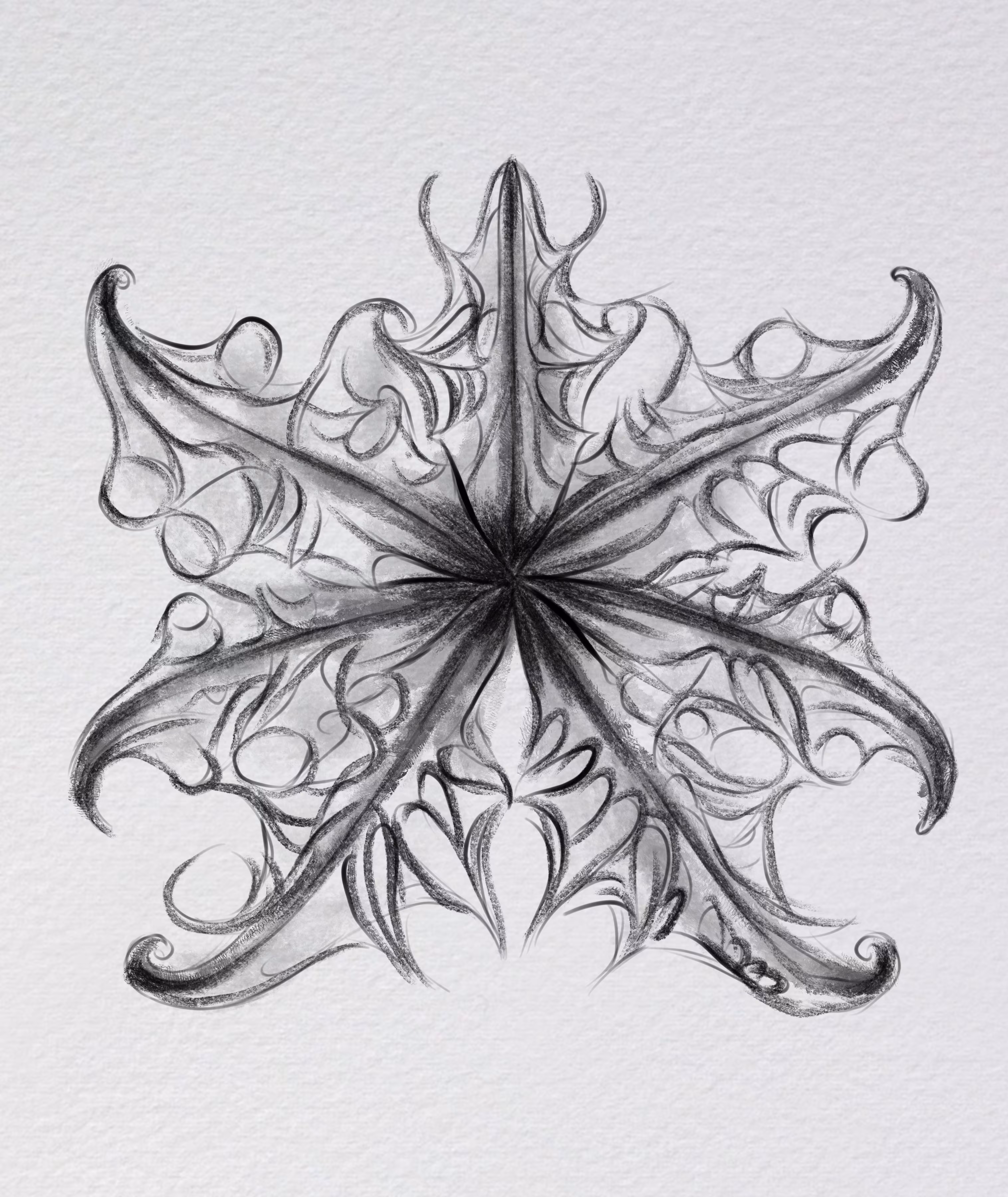 Starfish 