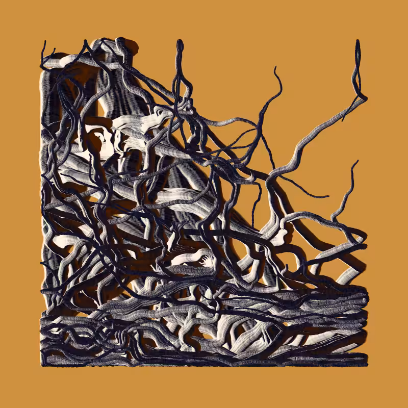 Root #84