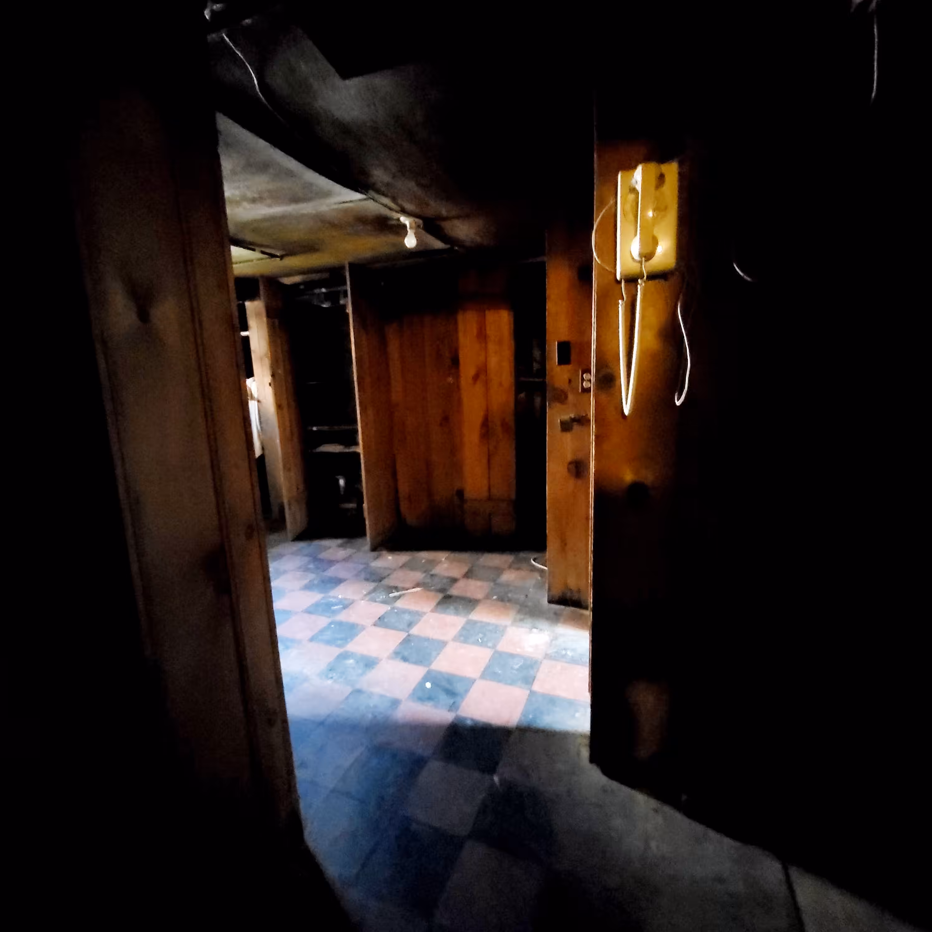 Phone in the Basement