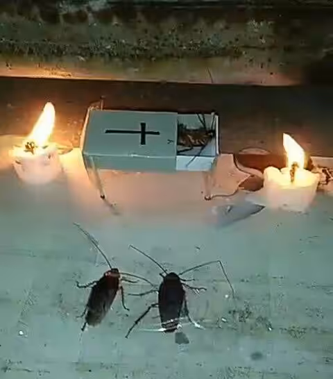 crazy funeral