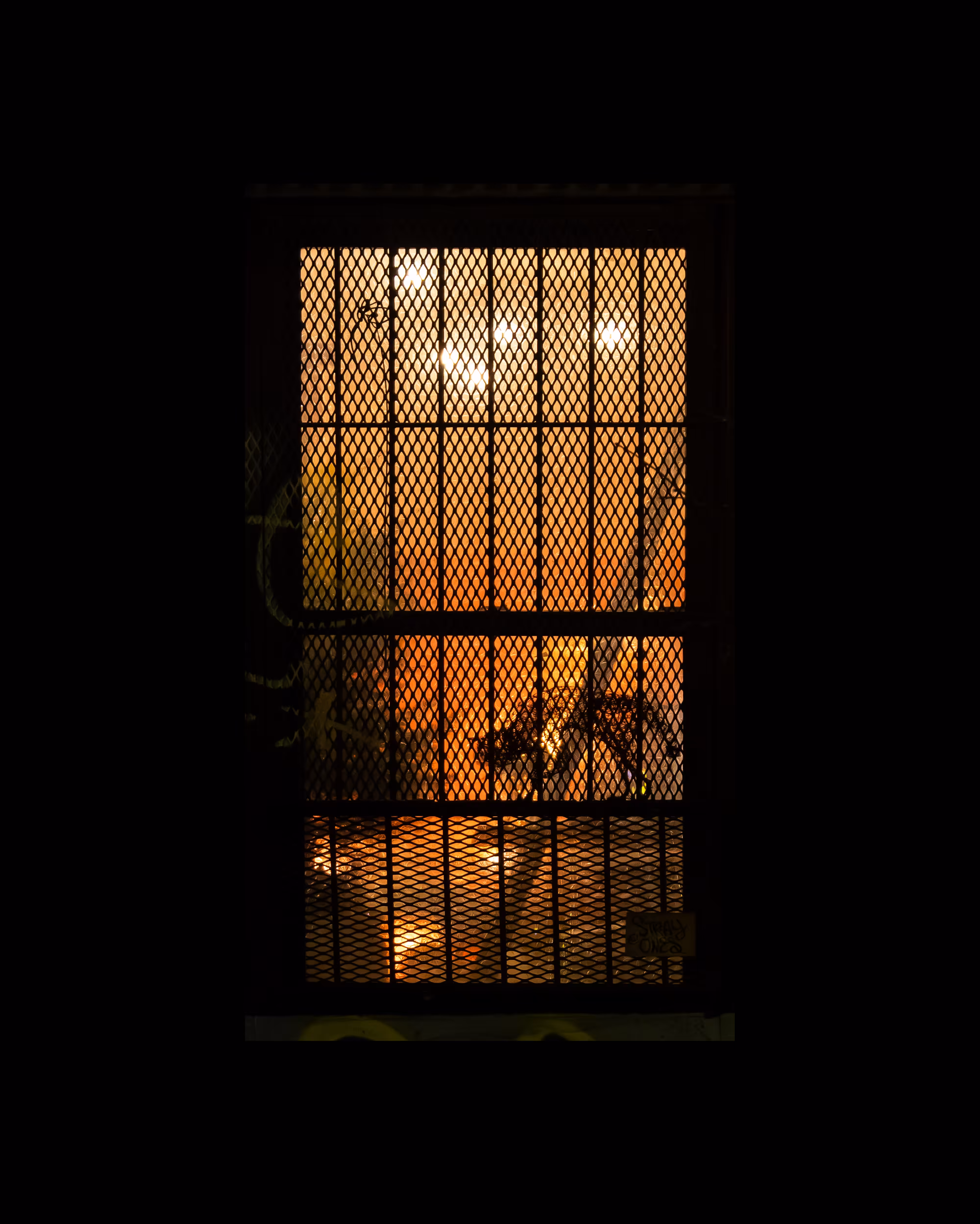 WINDOW 564