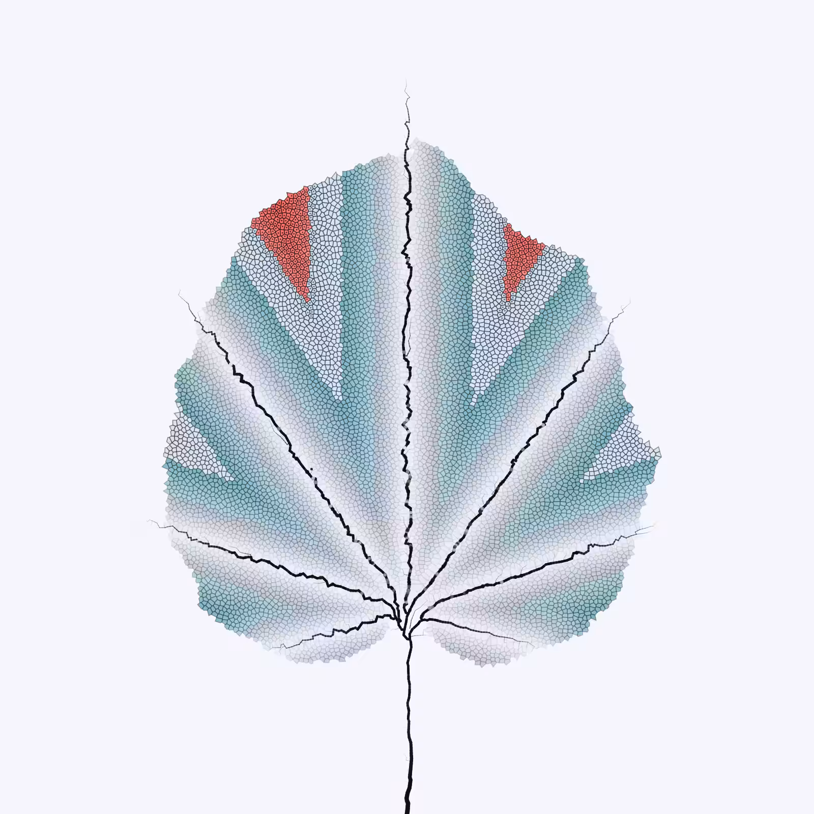 Leaf study #27