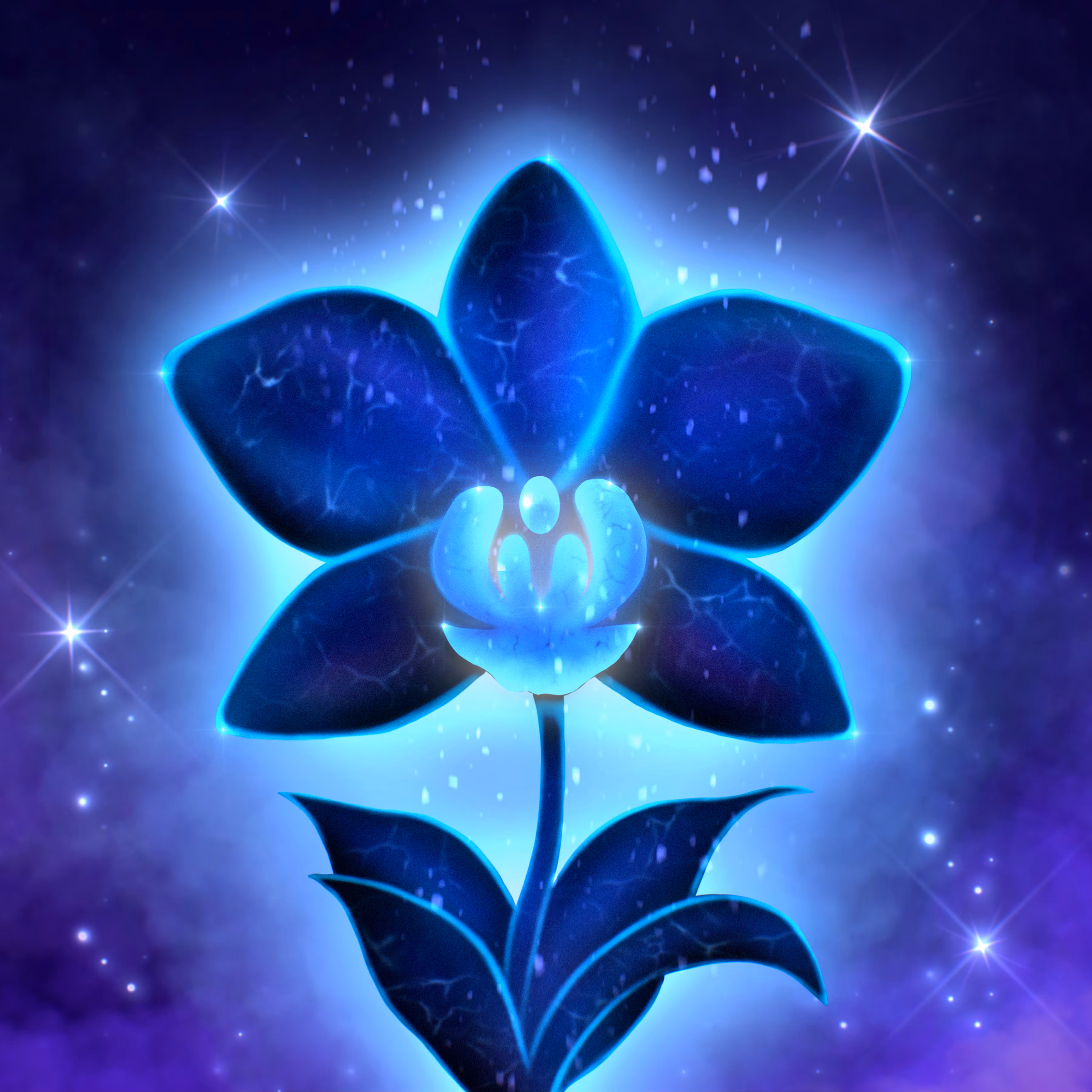 The Night Orchid