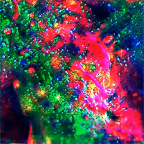 Unminted RXALITI