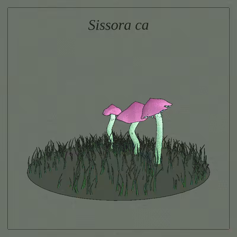 SHROOMS 3D #24