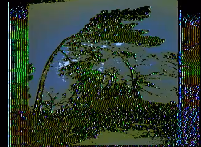 tree