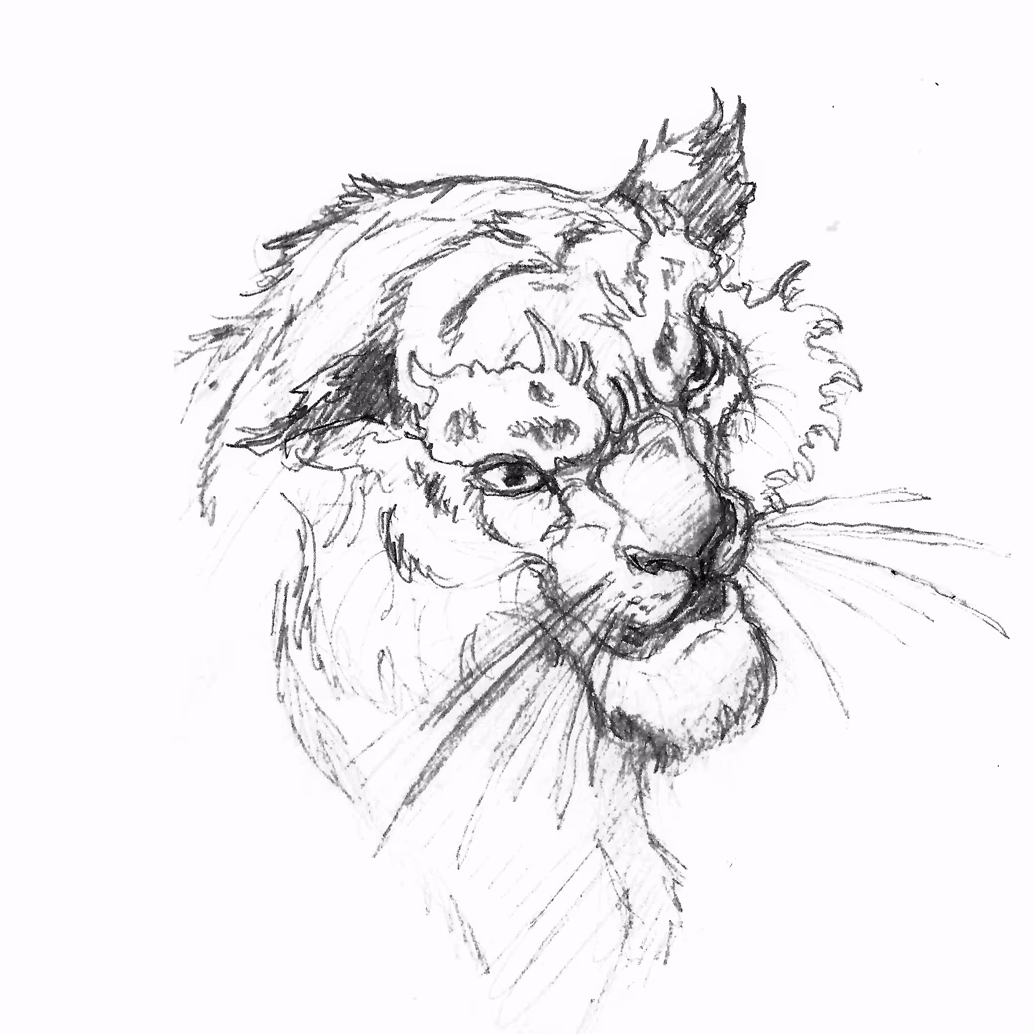 El Tigre