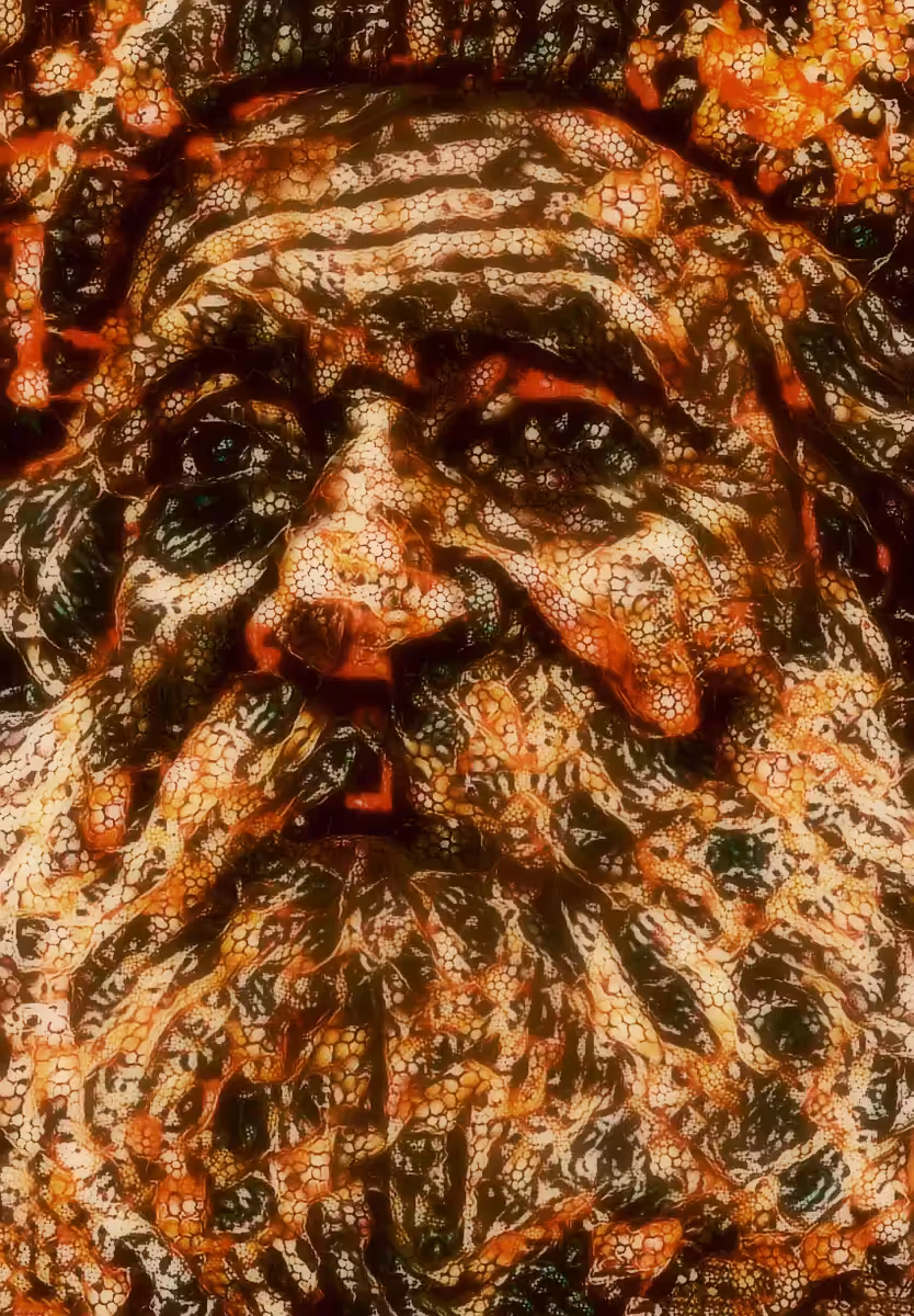 The man who saw a lot