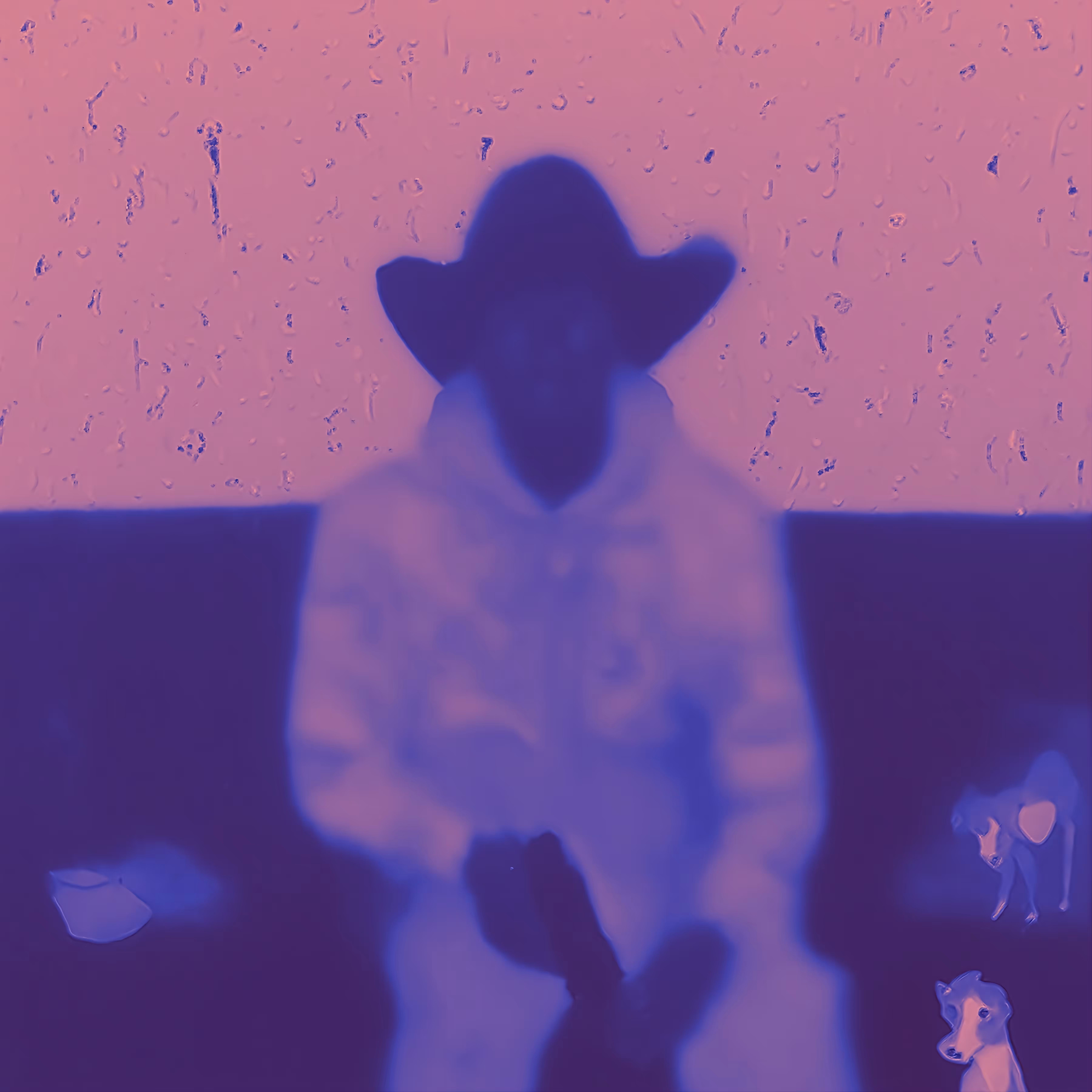 FAFO