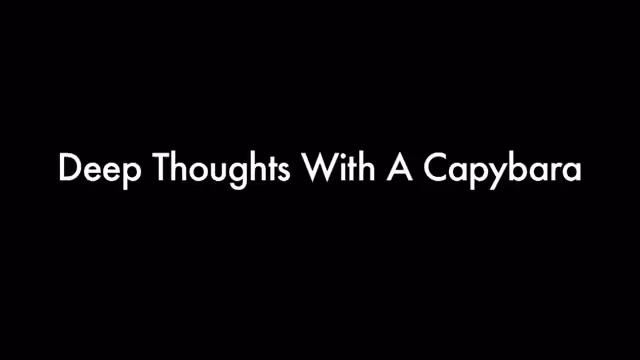 Song A Day: Deep Thoughts With a Capybara