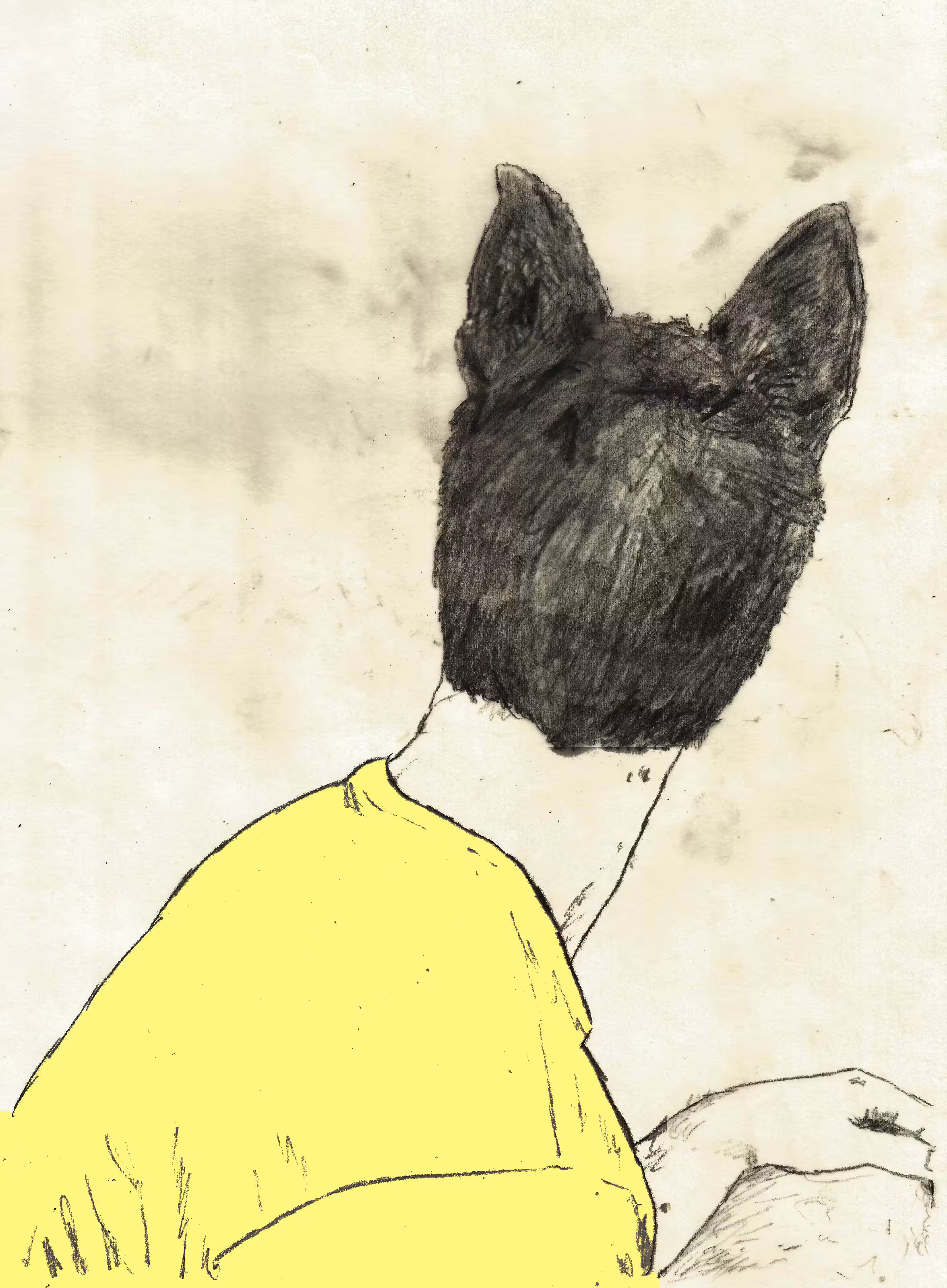 dog's ear